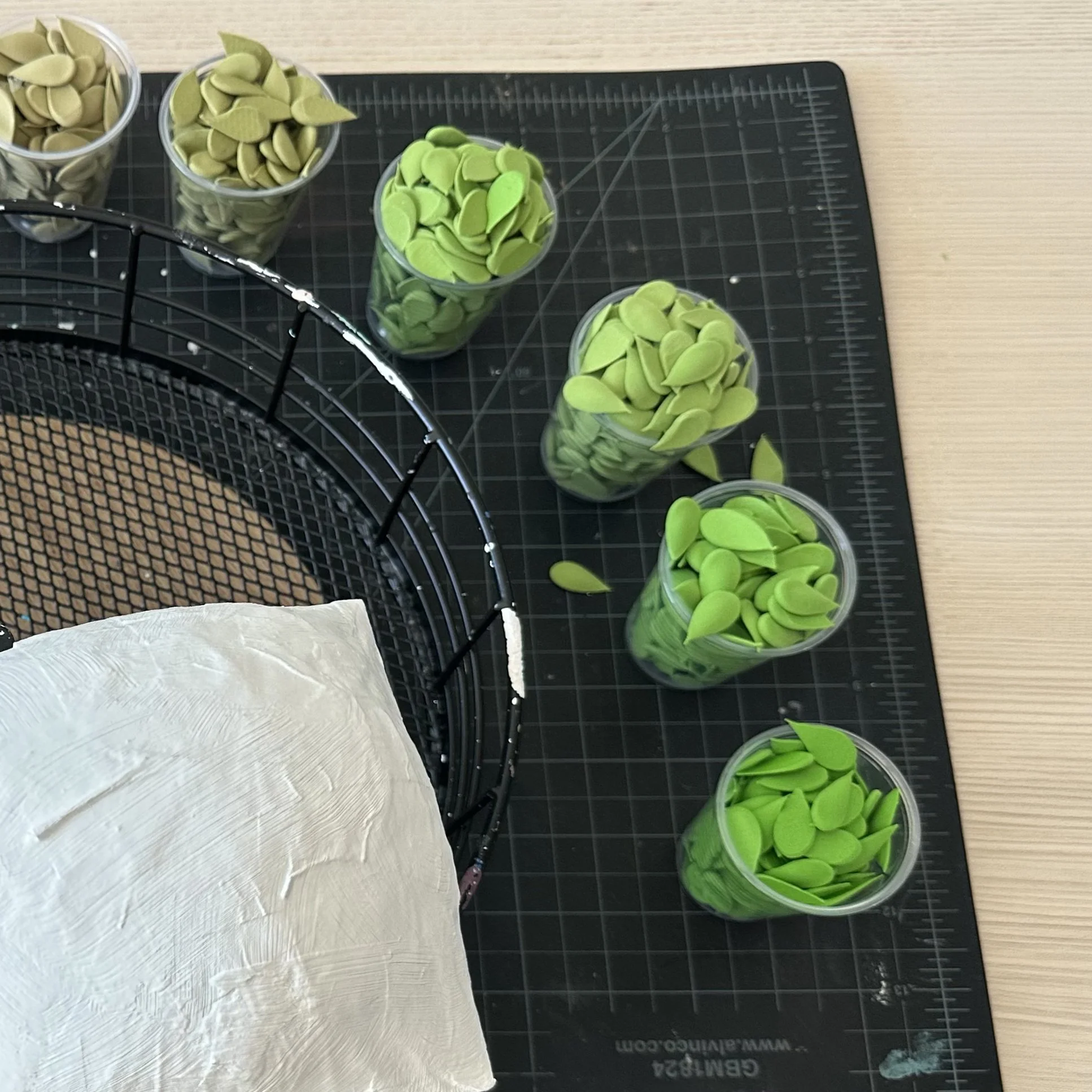 IMG_4489 copy-square2.JPG