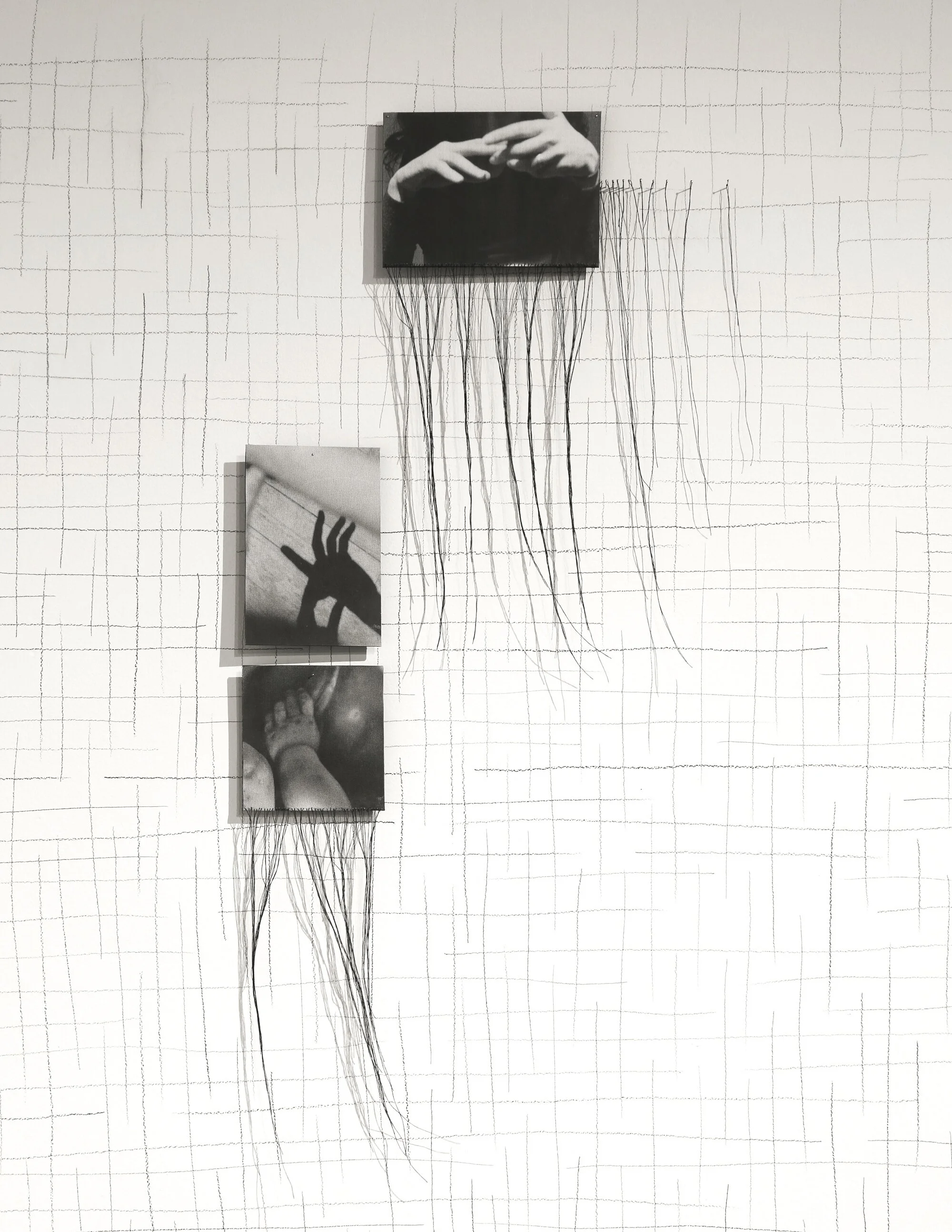 Catalog (detail)