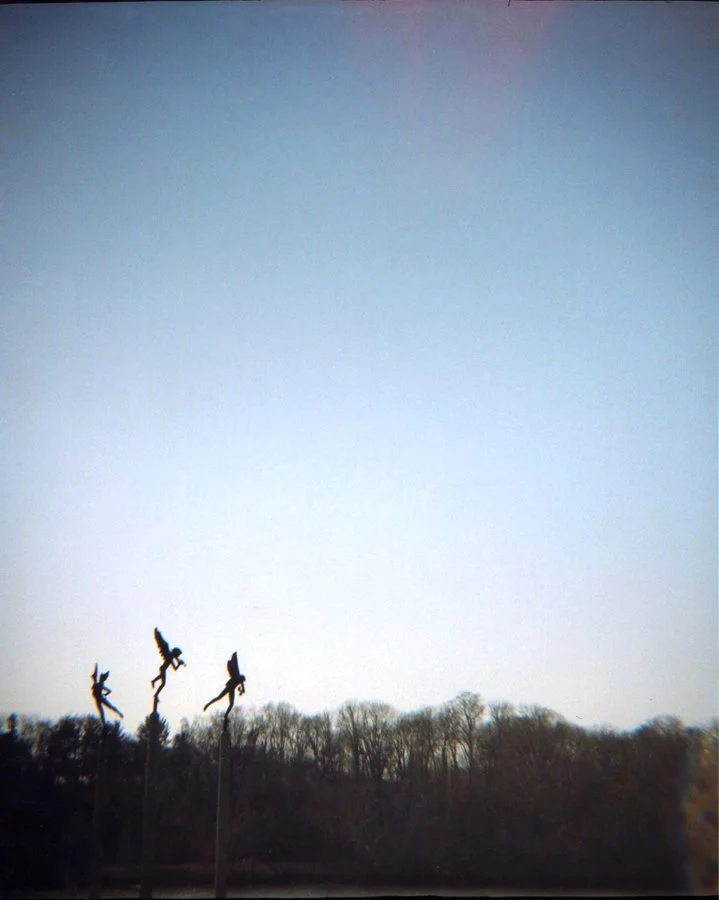 2007