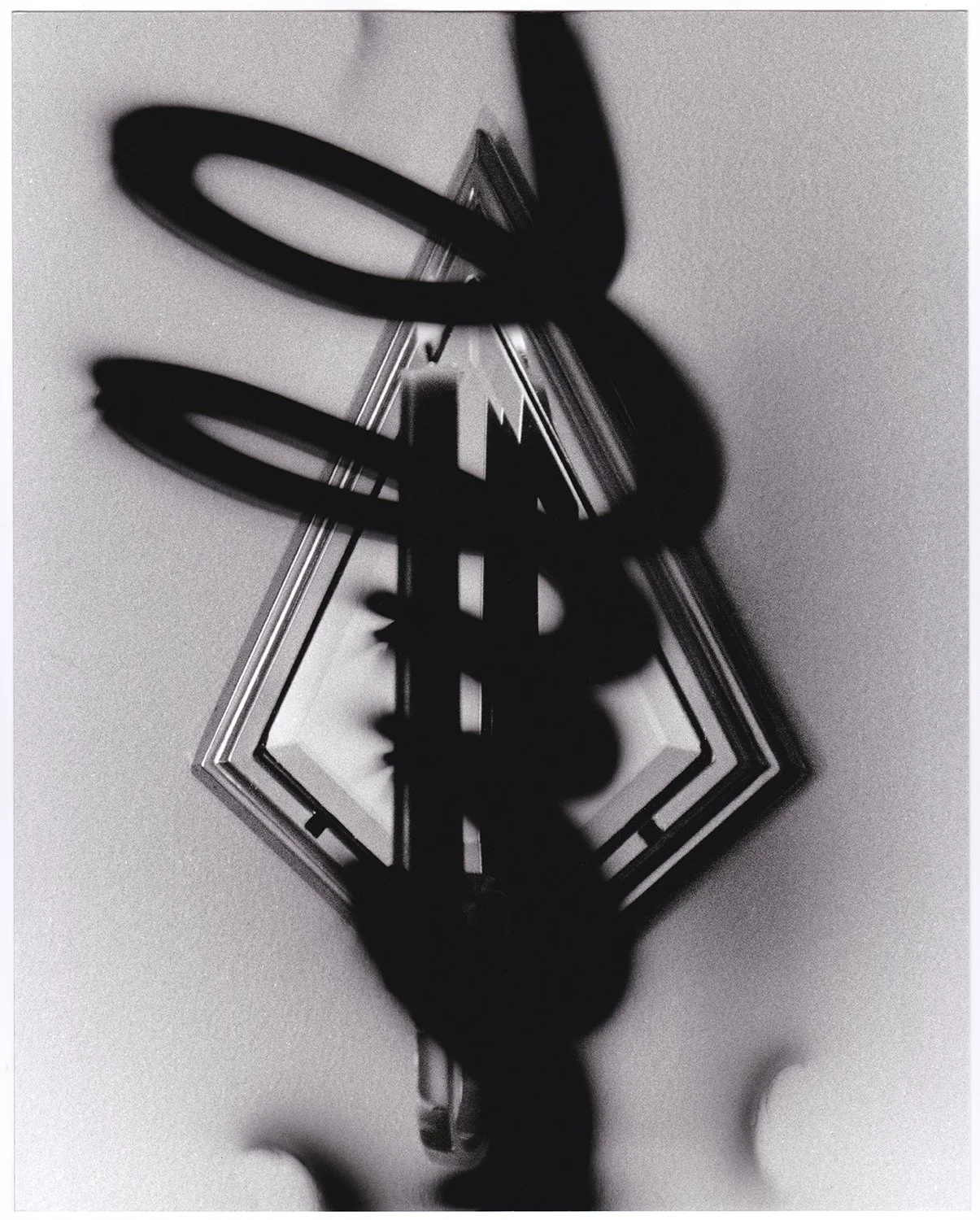 Cull, 2024, silver gelatin print