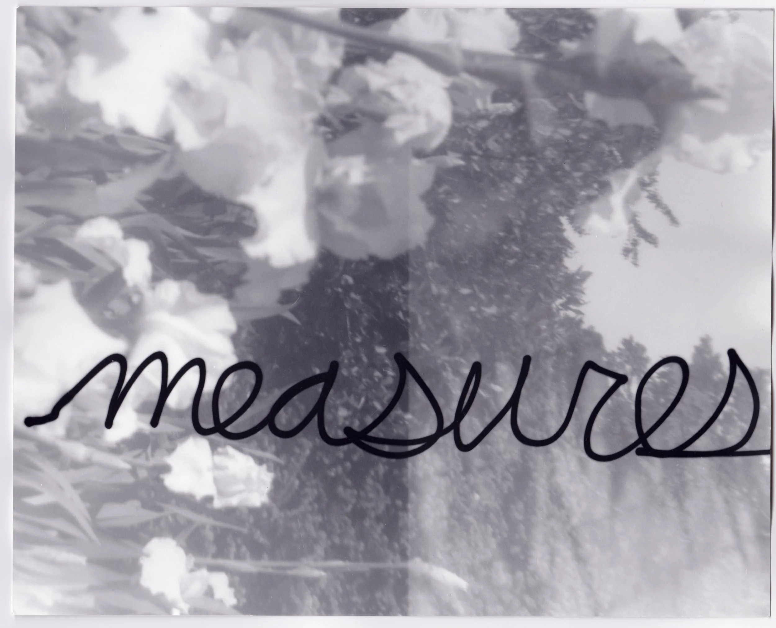 measures, 2024, silver gelatin print