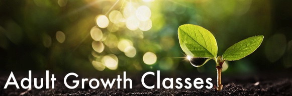 Throughout the school year, Adult Growth Classes (Sunday School) are offered during the first service (8:45-10am) in the fireside room. The classes cover a variety of topics (Bible, Theology, Church History, Spiritual Formation) and are interactive, providing space for integration and discussion. To see what class is up next, check the lefthand side of your bulletin or contact Pastor Elyse (elyset@lifespringchurch.org).