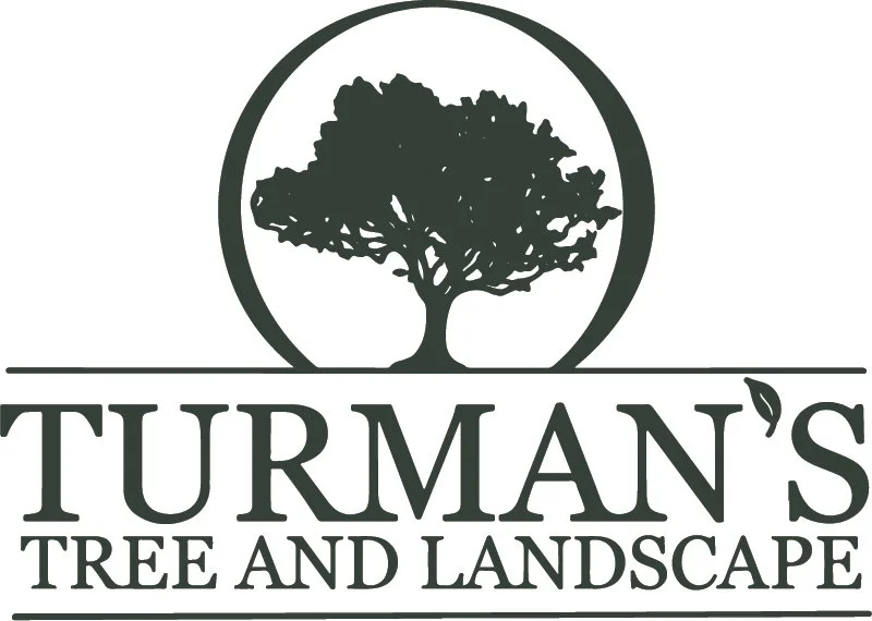 Turman's-Logo-Main.jpg