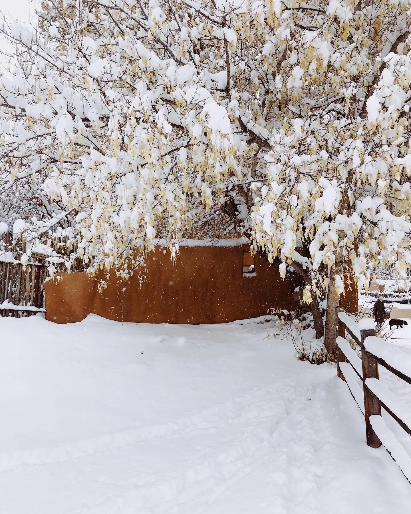 Santa Fe winter