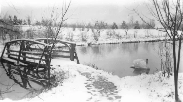 Hillsdale College Arboretum