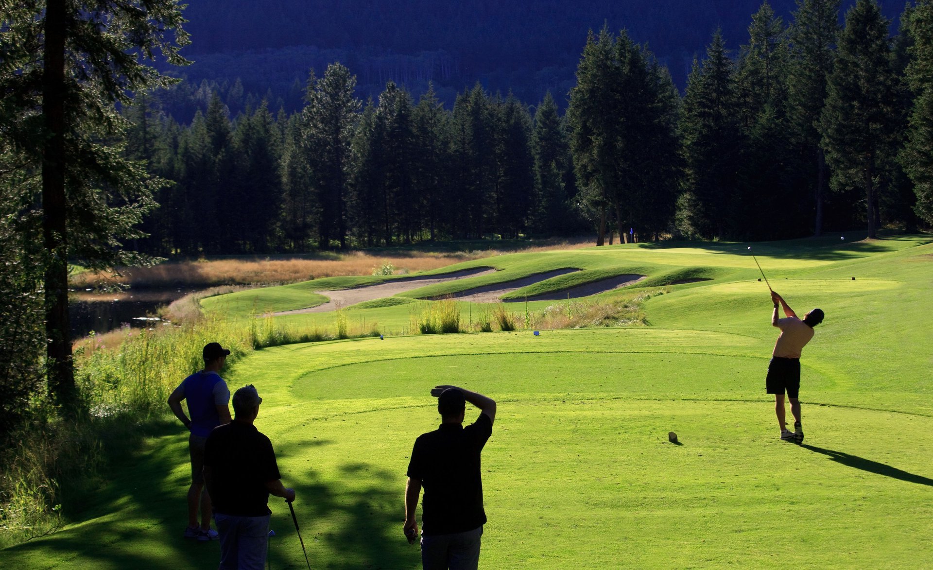 talkingrockgolferhittingteeshoton8withgallery-large.jpg