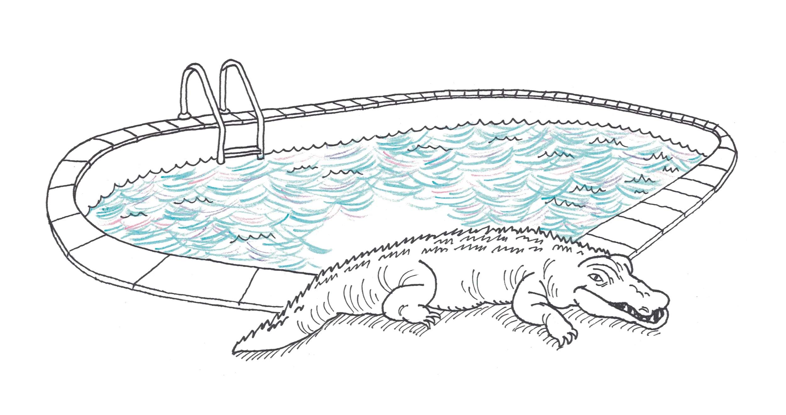 gatorr.jpg