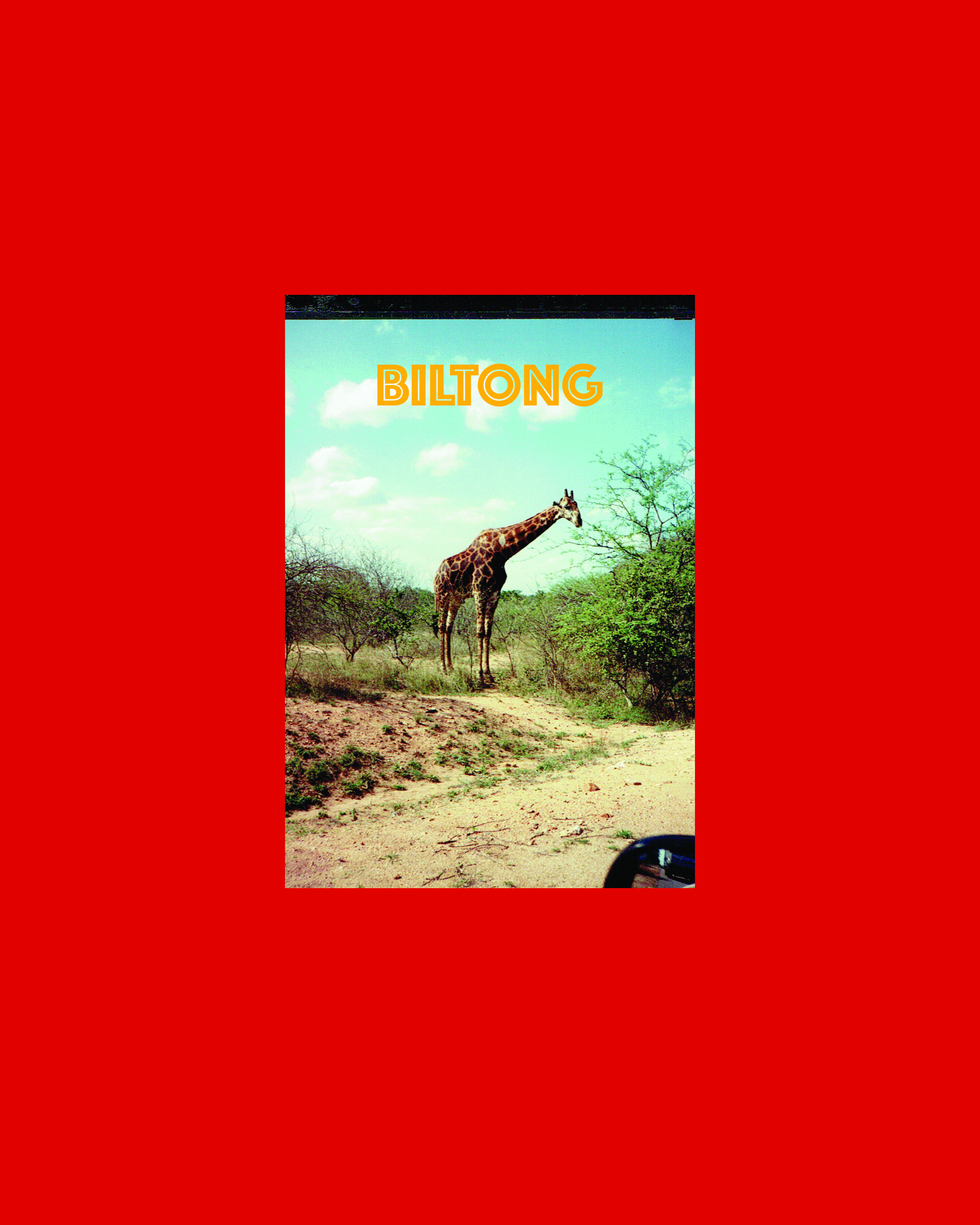"Biltong" Cover, 2018