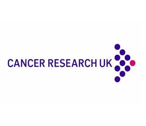 The Real Mini Company Going The Extra Mile