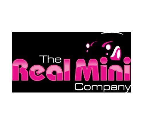The Real Mini Company New Website LIVE!