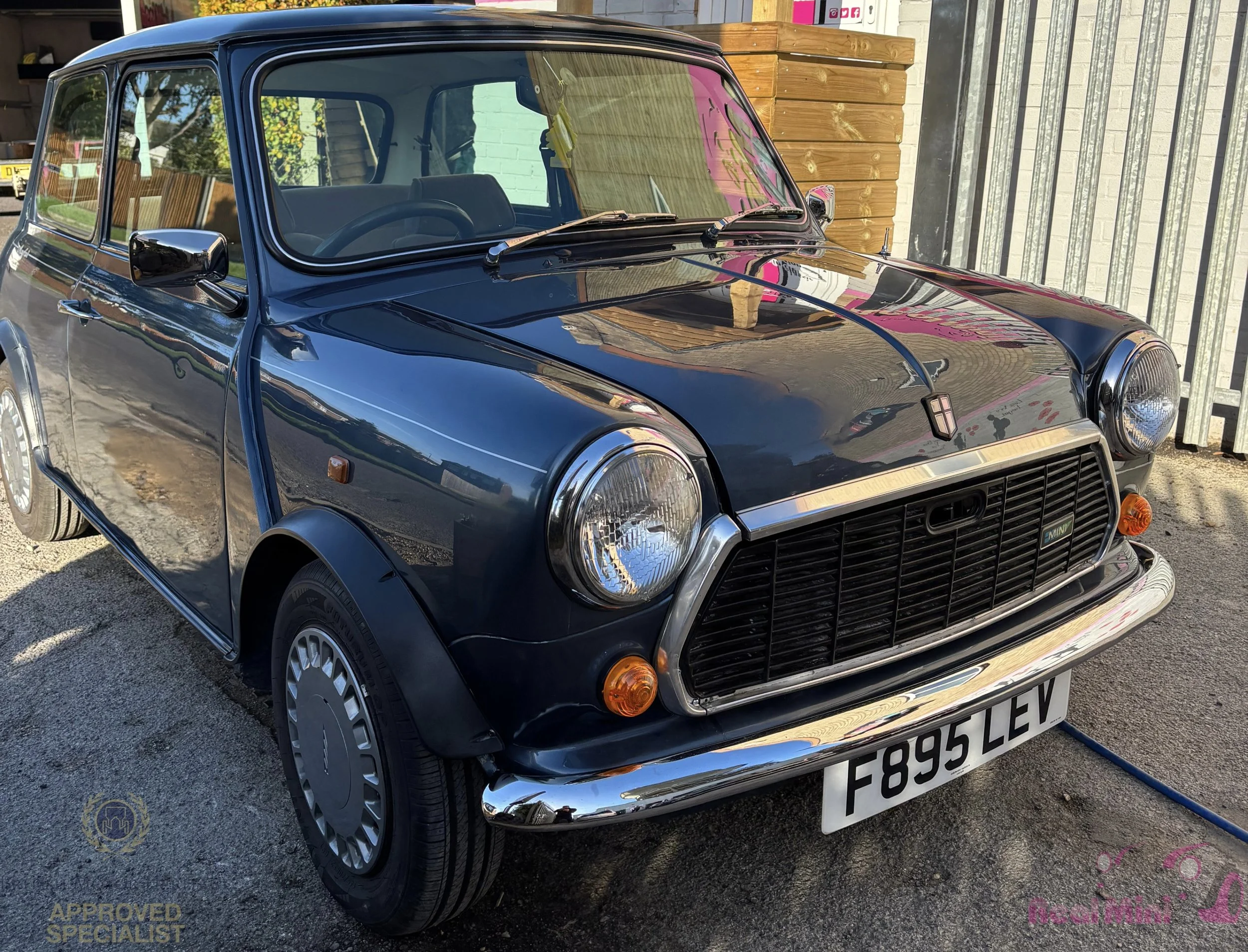 Untitled design.zip - 11.jpeg