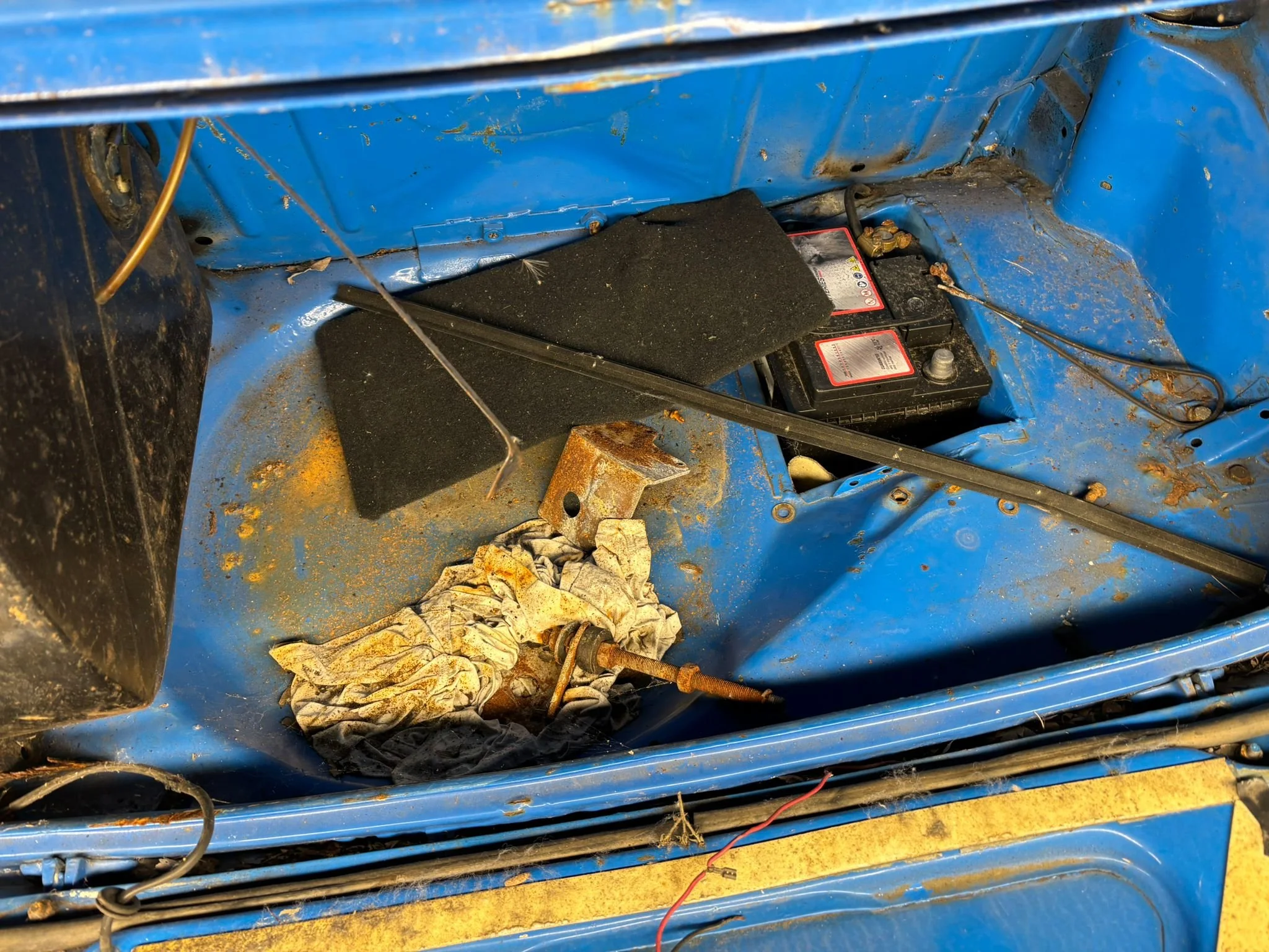 PHOTO-2026-02-13-15-19-43 3.jpeg