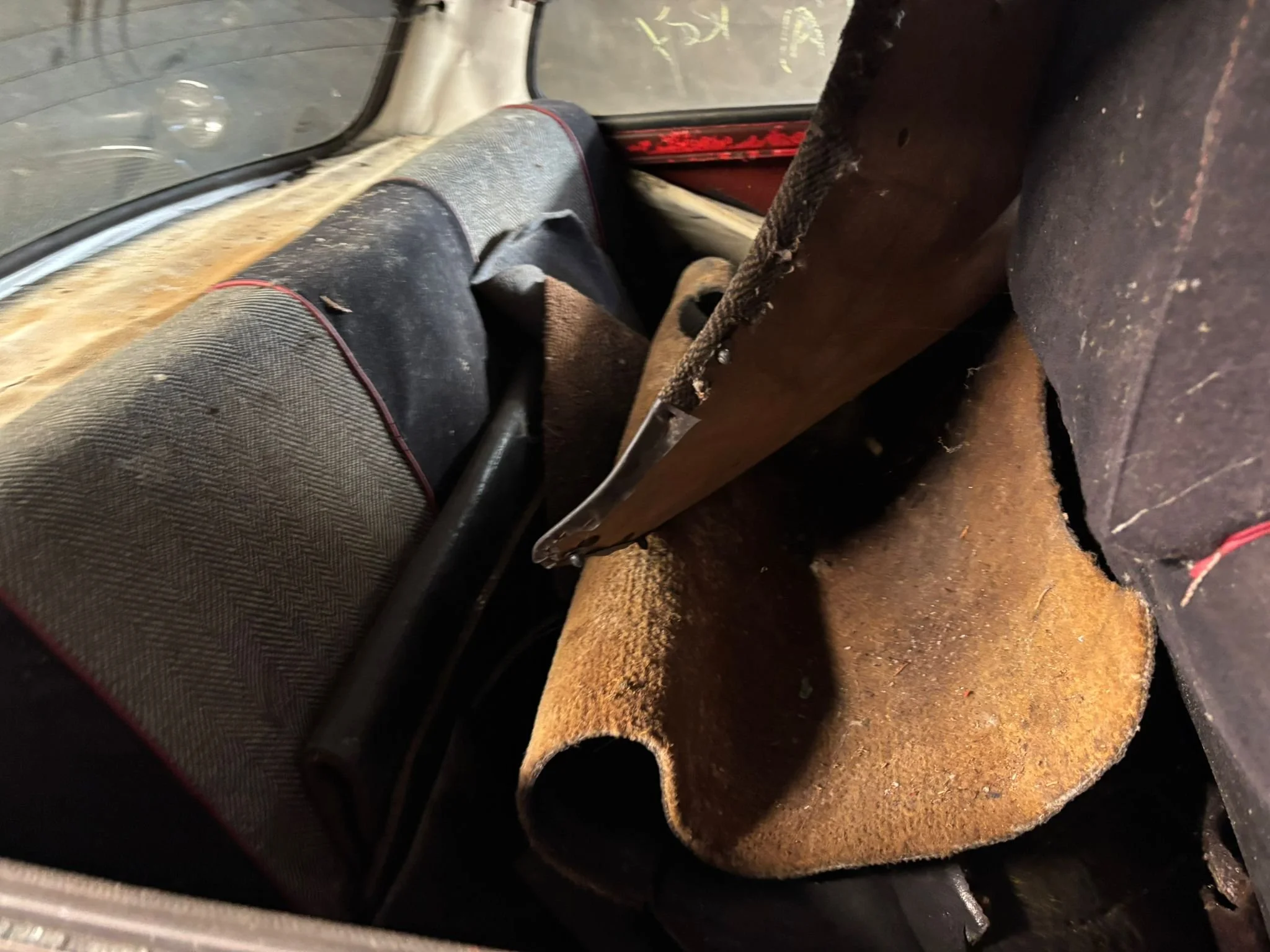 PHOTO-2026-02-13-15-23-14 2.jpeg