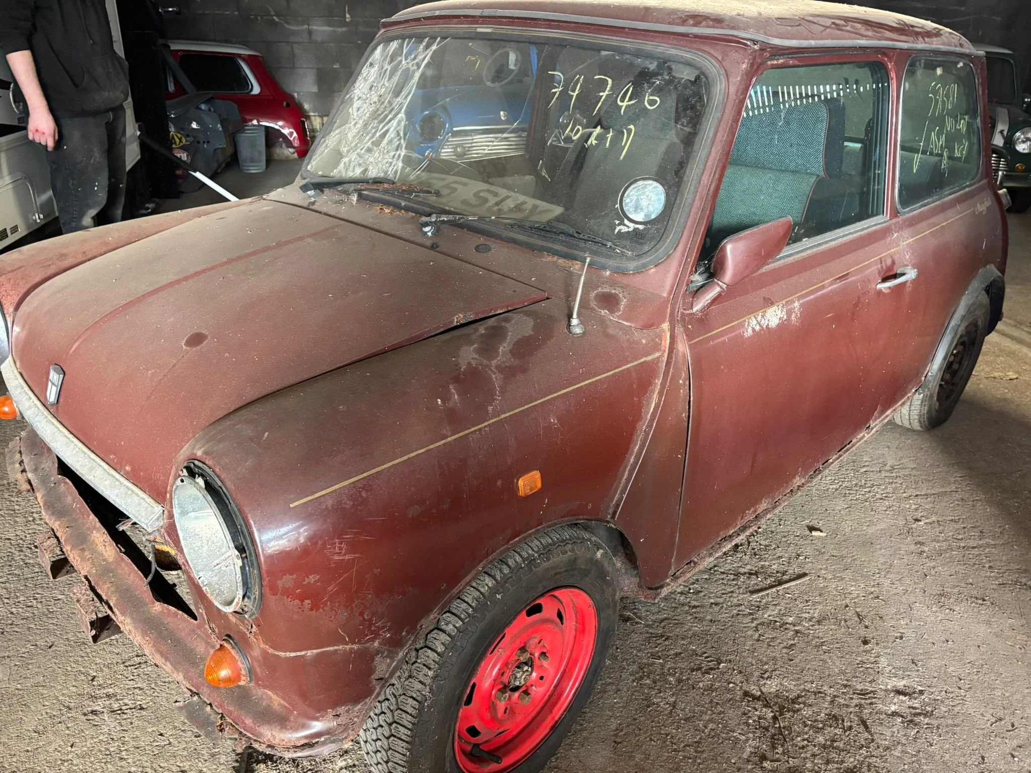 PHOTO-2026-02-13-15-23-14 4.jpeg