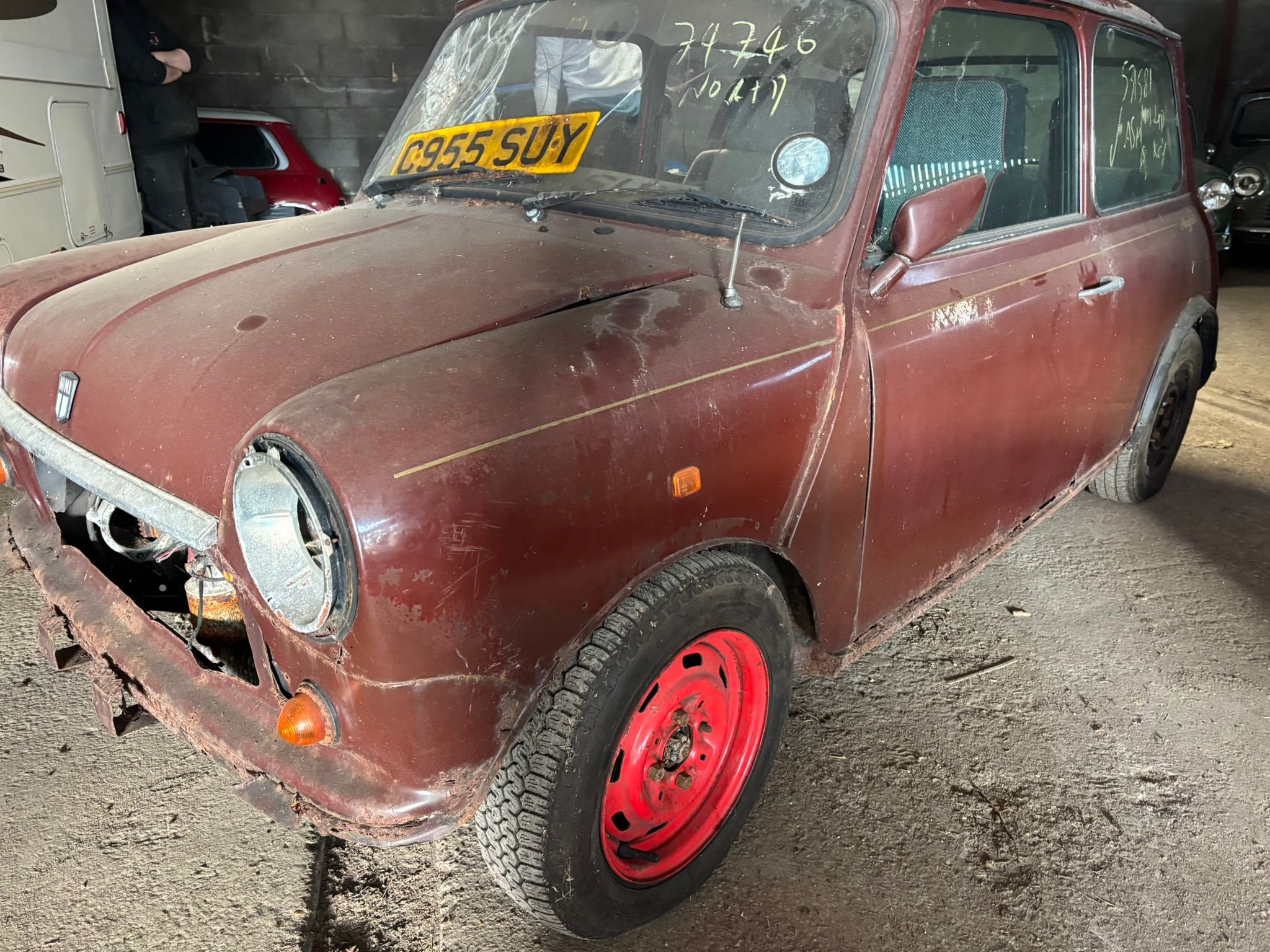 PHOTO-2026-02-13-15-22-49 2.jpeg