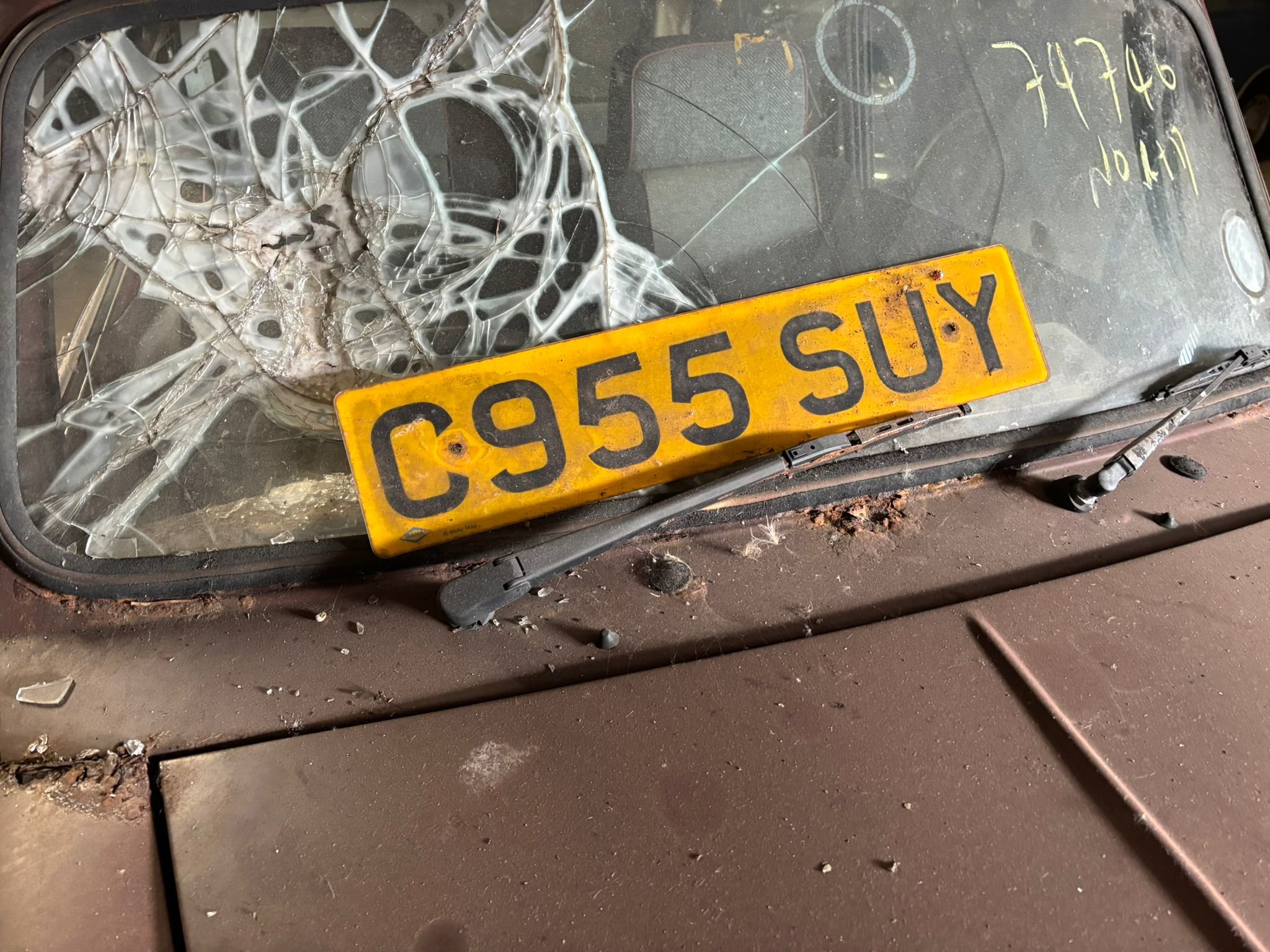 PHOTO-2026-02-13-15-23-13 2.jpeg