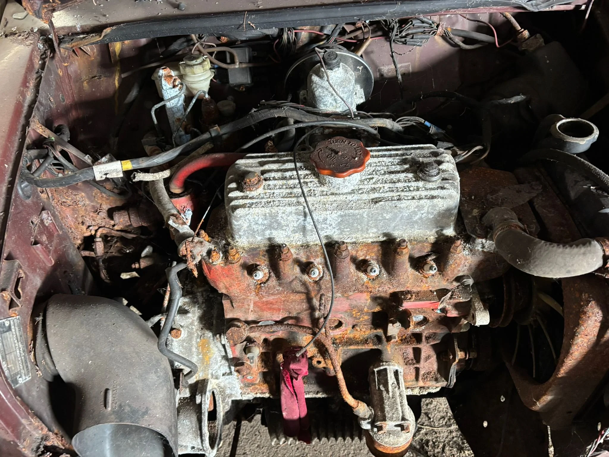 PHOTO-2026-02-13-15-23-14 5.jpeg