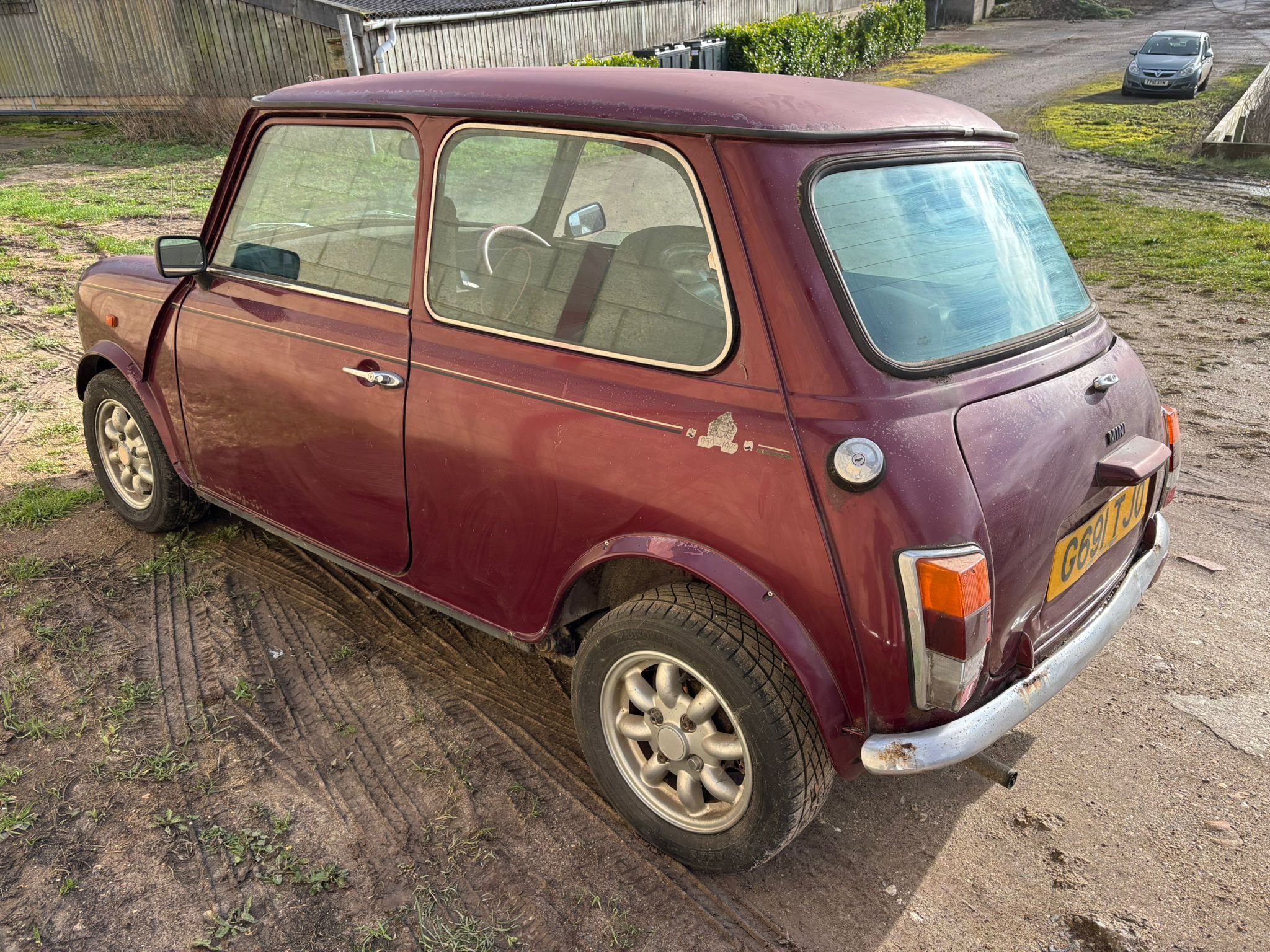 PHOTO-2026-02-13-15-26-32 3.jpeg