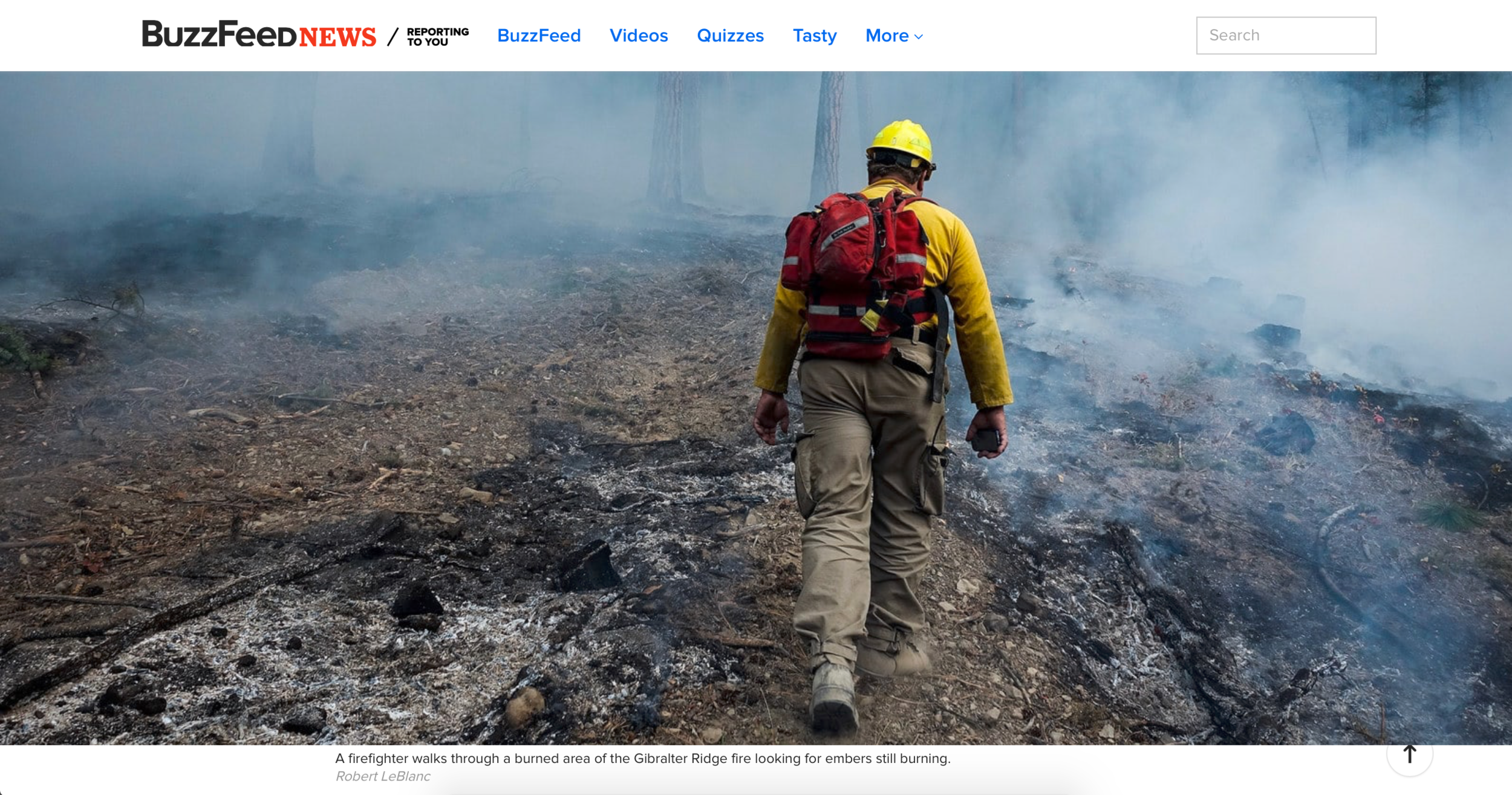 BuzzFeed News