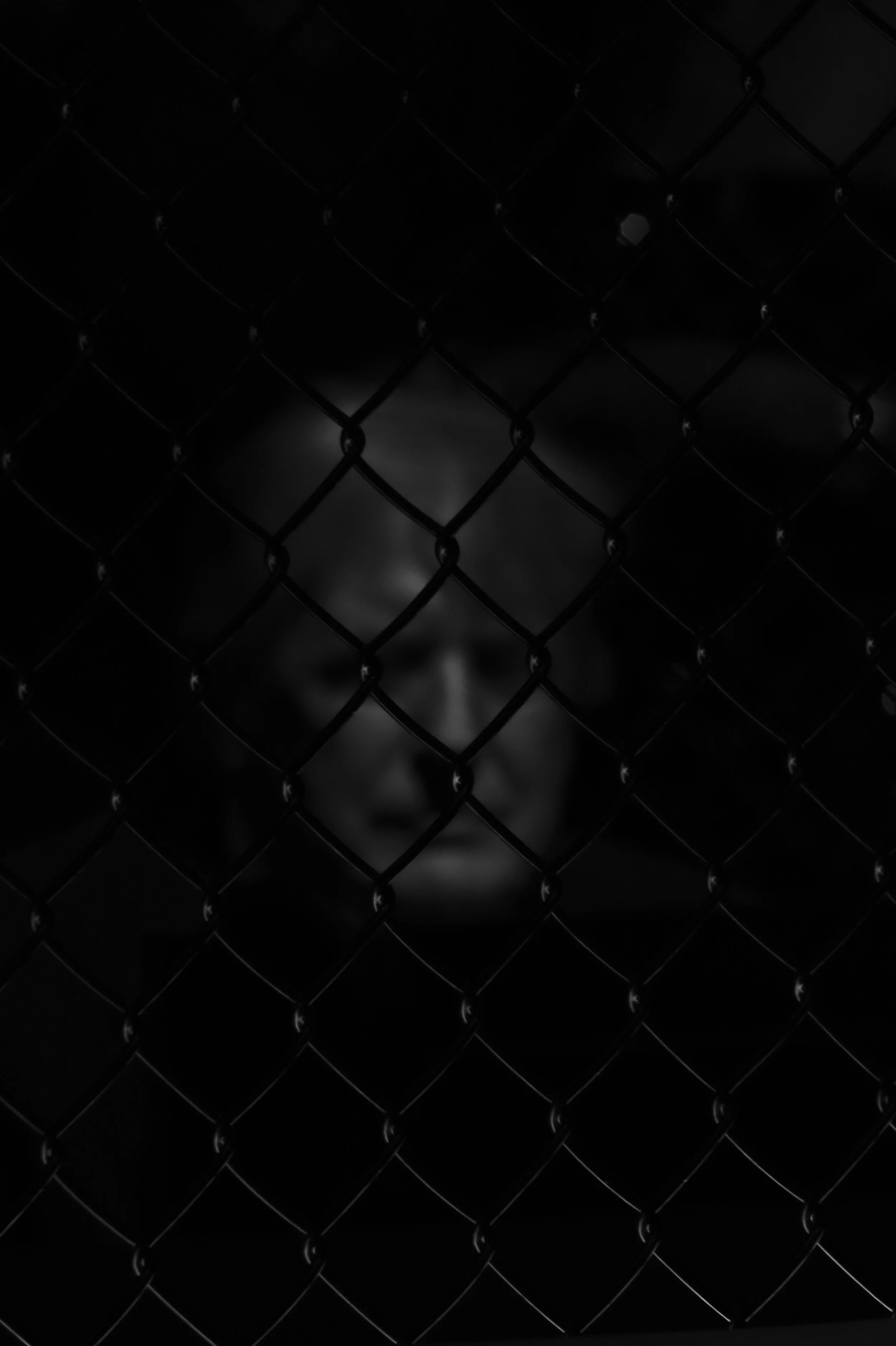 L1060079.jpg