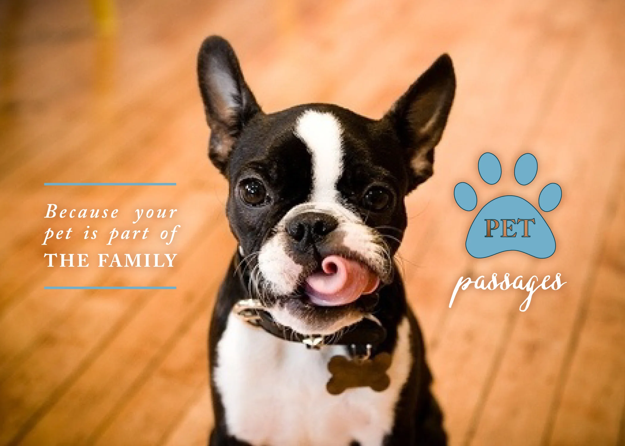 PetPassages-1.jpg