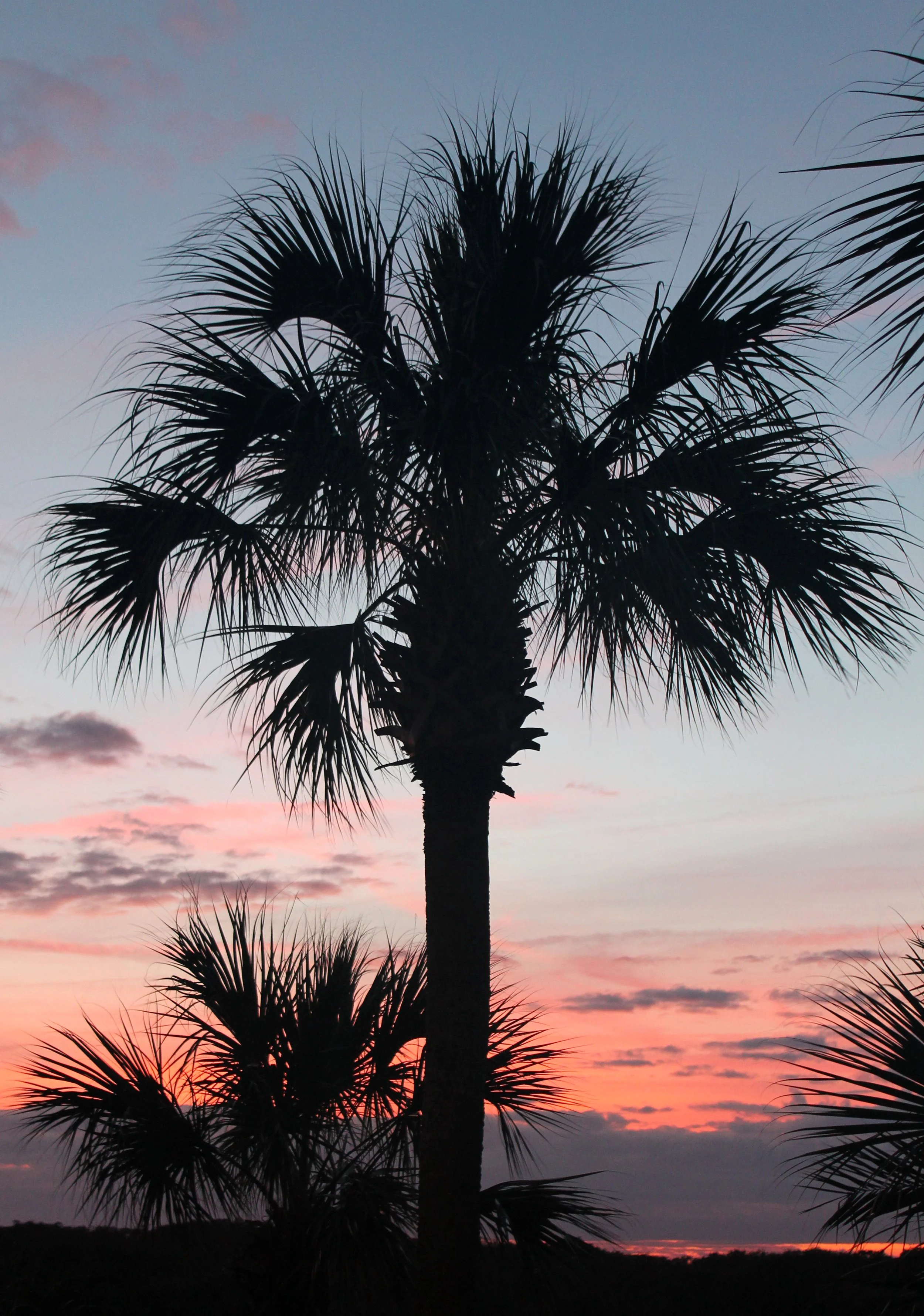 AmeliaIsland2.jpg