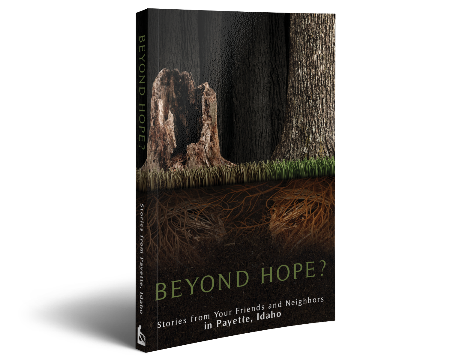 id_payette_riveroflifechristiancenter3DBOOK.png