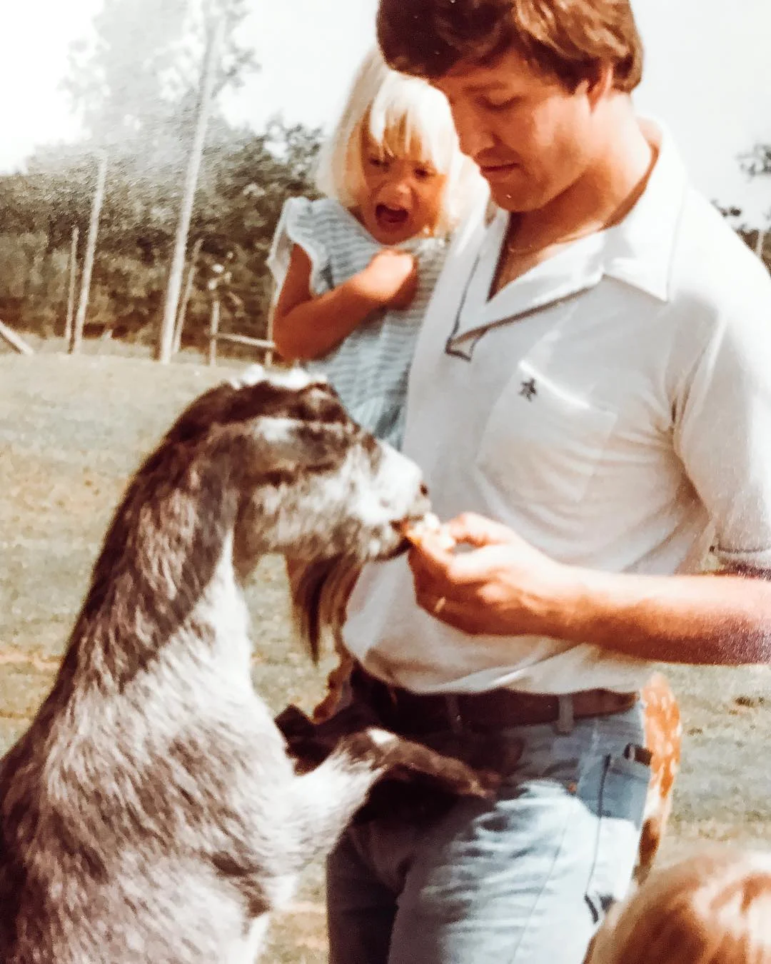 Dad-zoo-goats.jpg