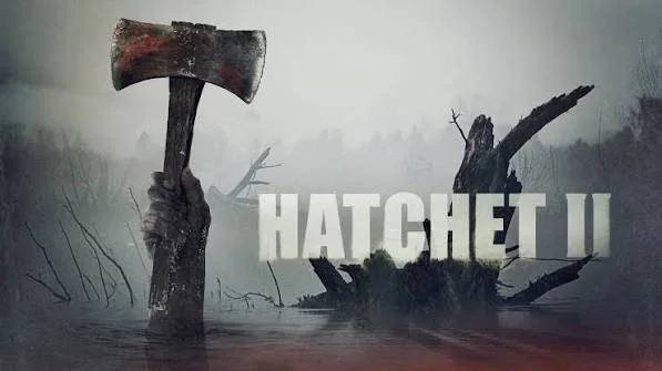 Hatchet2.jpeg