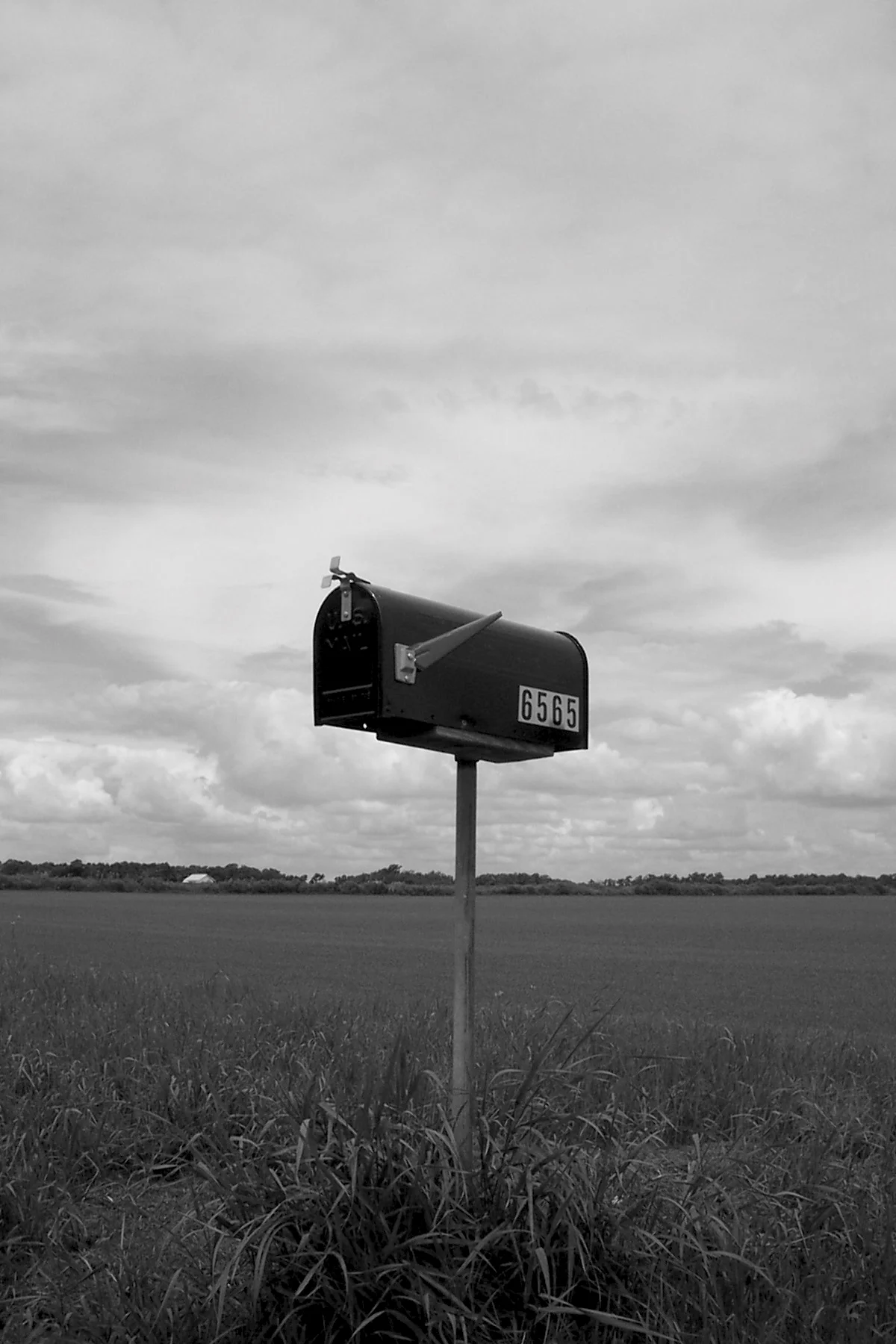 Mailbox in Field.jpg
