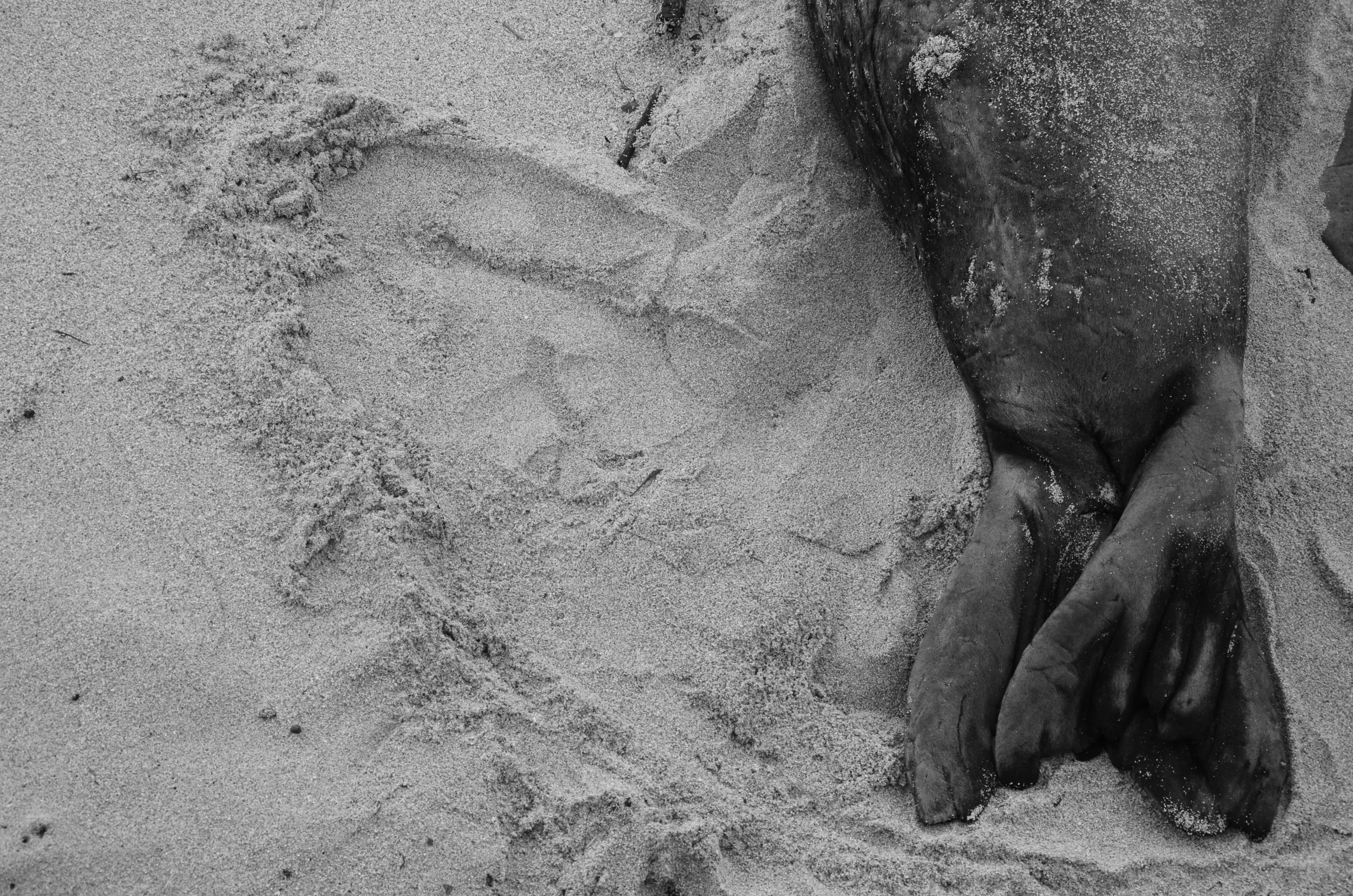  Camp Mokule'ia | Northshore, O'ahu, Hawai'i | 2015. 