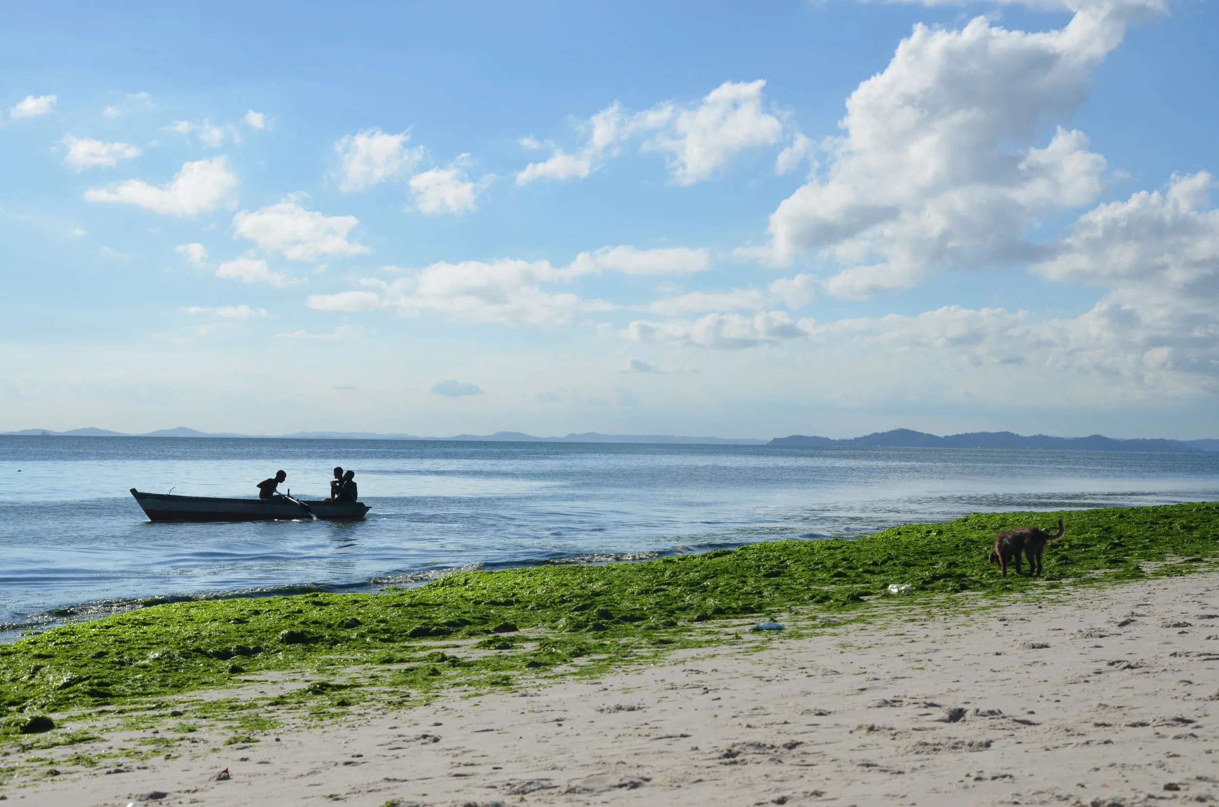  Ribeira | Salvador, Bahia, Brazil | 2013. 