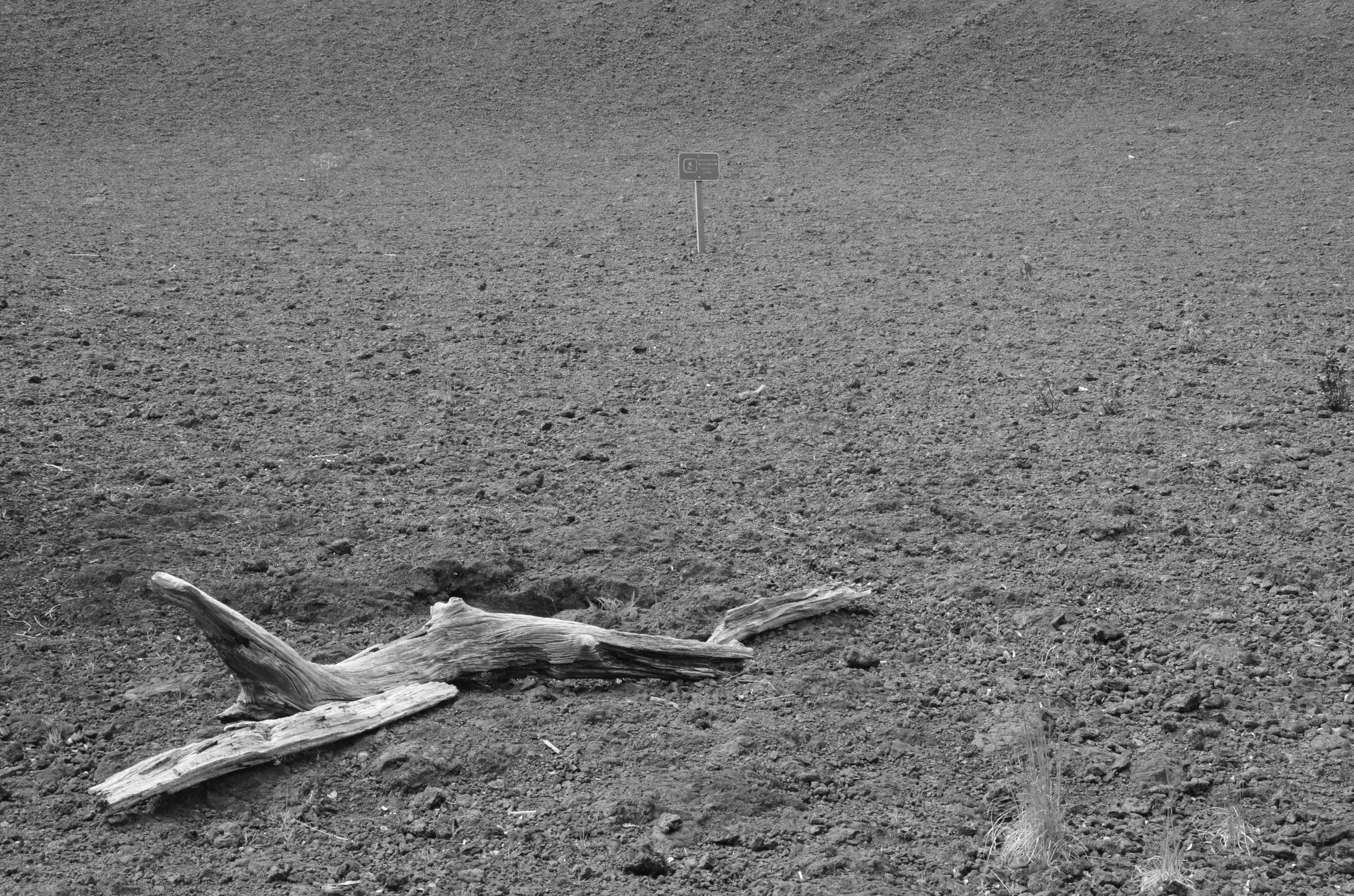  Devastation Trail |&nbsp;Hawaiʻi Volcanoes National Park,&nbsp;Big Island, Hawai'i | 2015. 