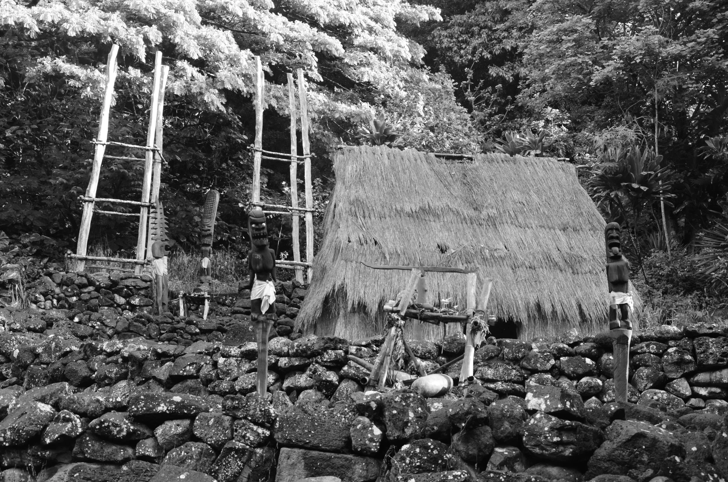  Waimea Valley |&nbsp;O'ahu, Hawai'i | 2015. 