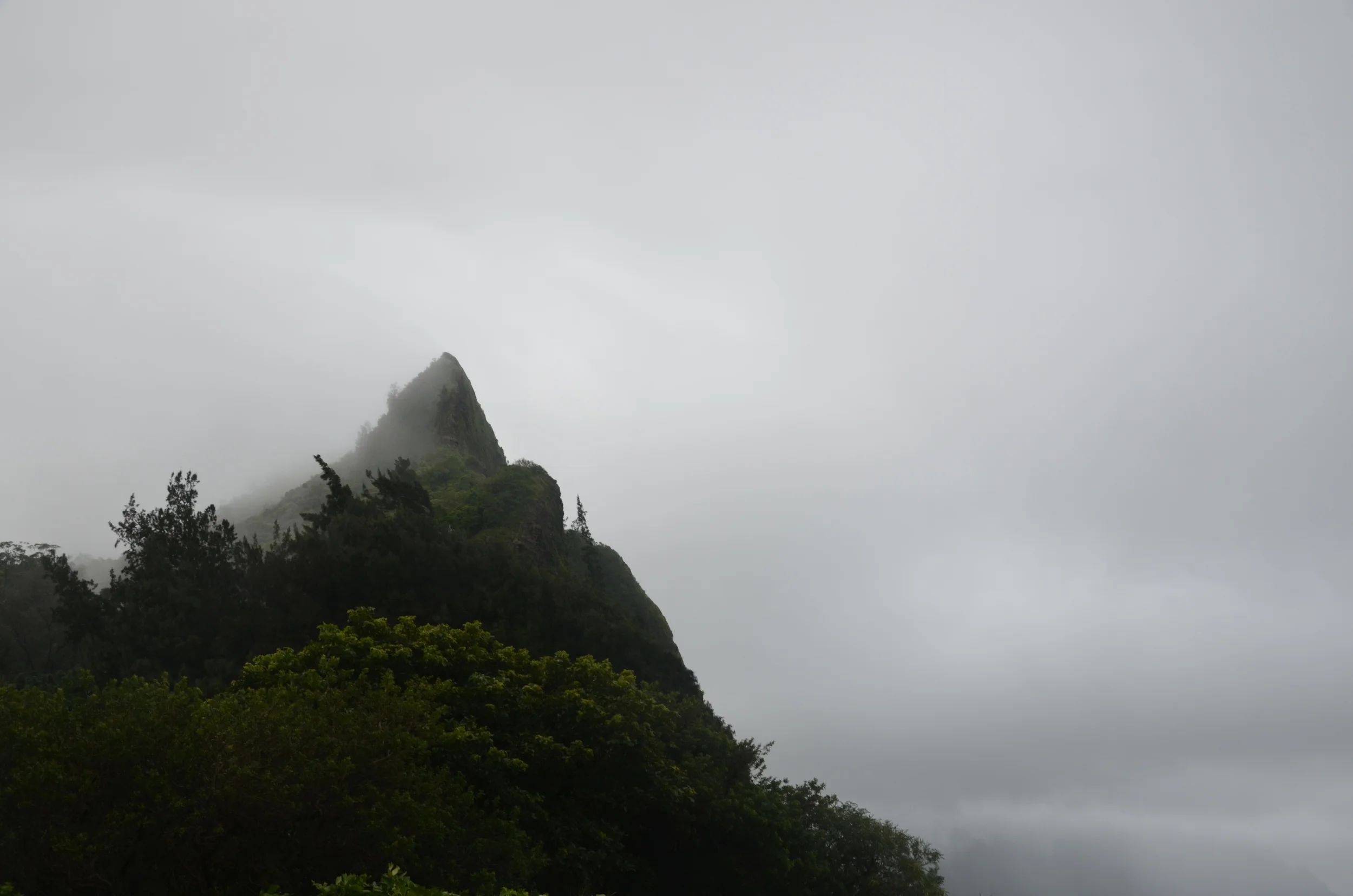  Pali Lookout |&nbsp;O'ahu, Hawai'i | 2015. 