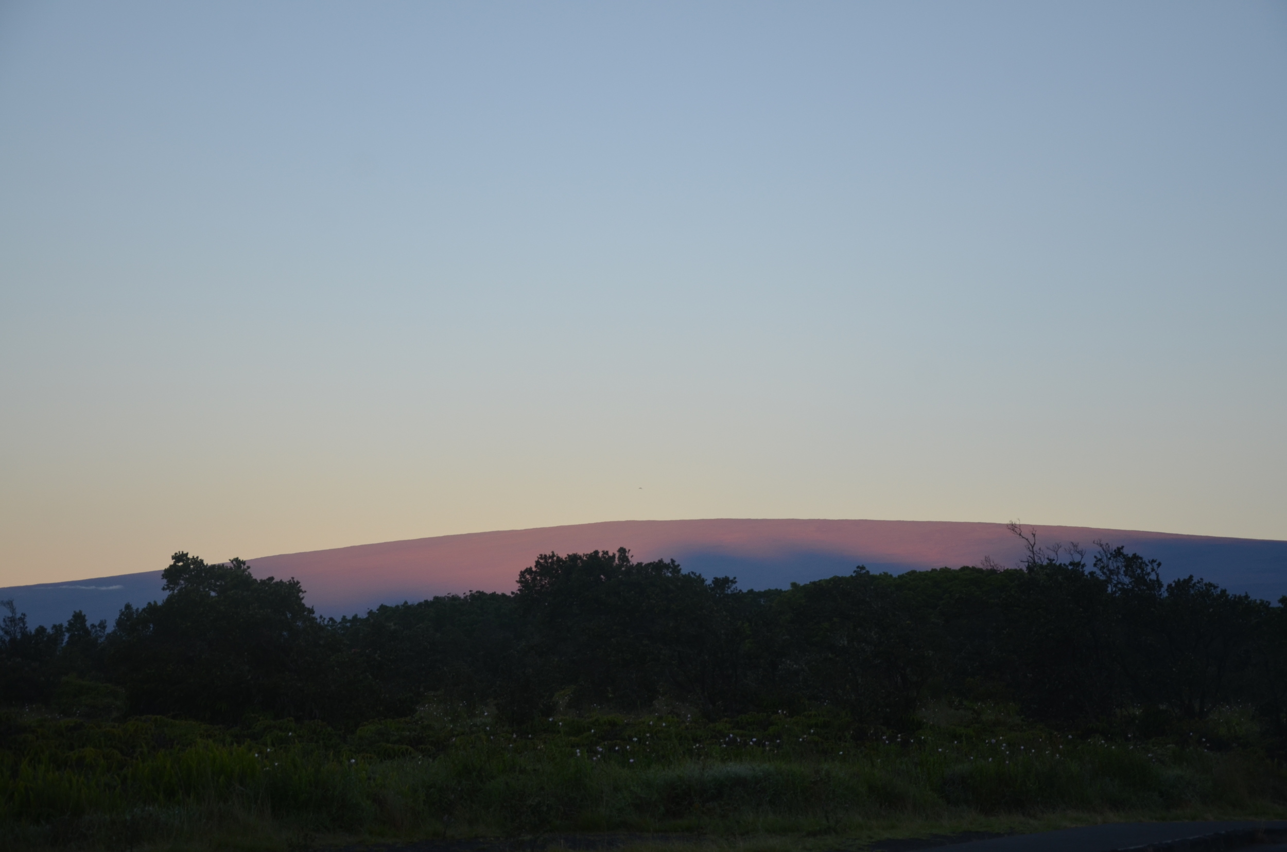 Mauna Loa