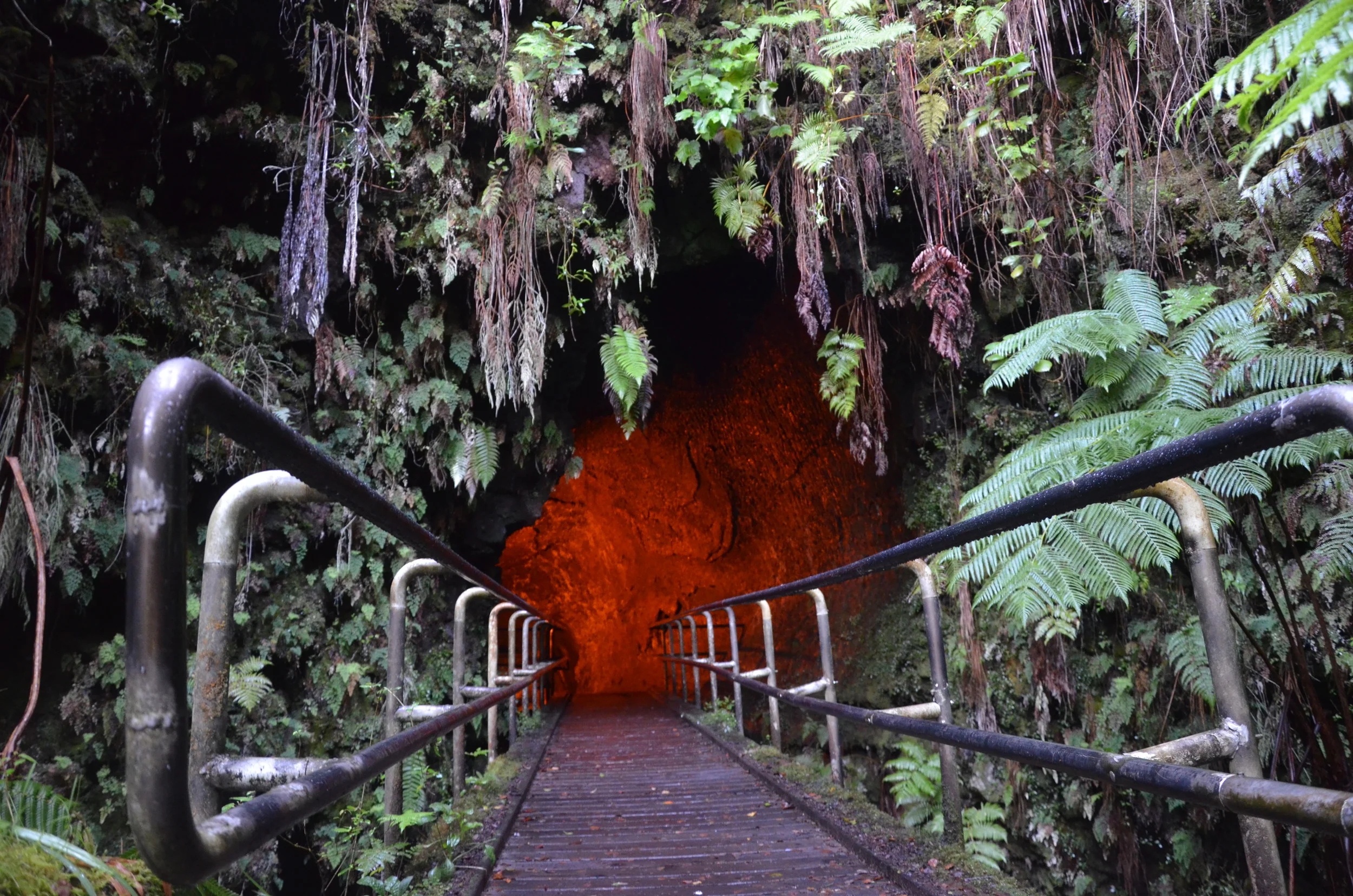  Thurston Lava Tube | Hawaiʻi Volcanoes National Park, Big Island, Hawai'i | 2015. 