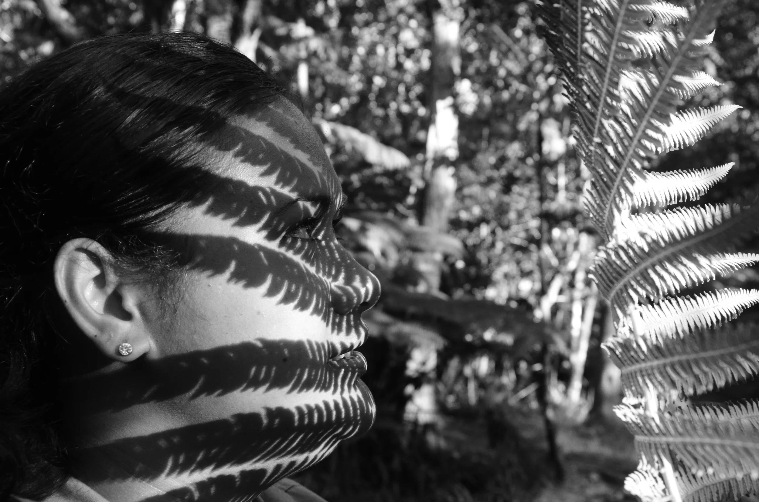  Thurston Lava Tube |&nbsp;Hawai'i Volcanoes National Park, Big Island, Hawai'i | 2015. 