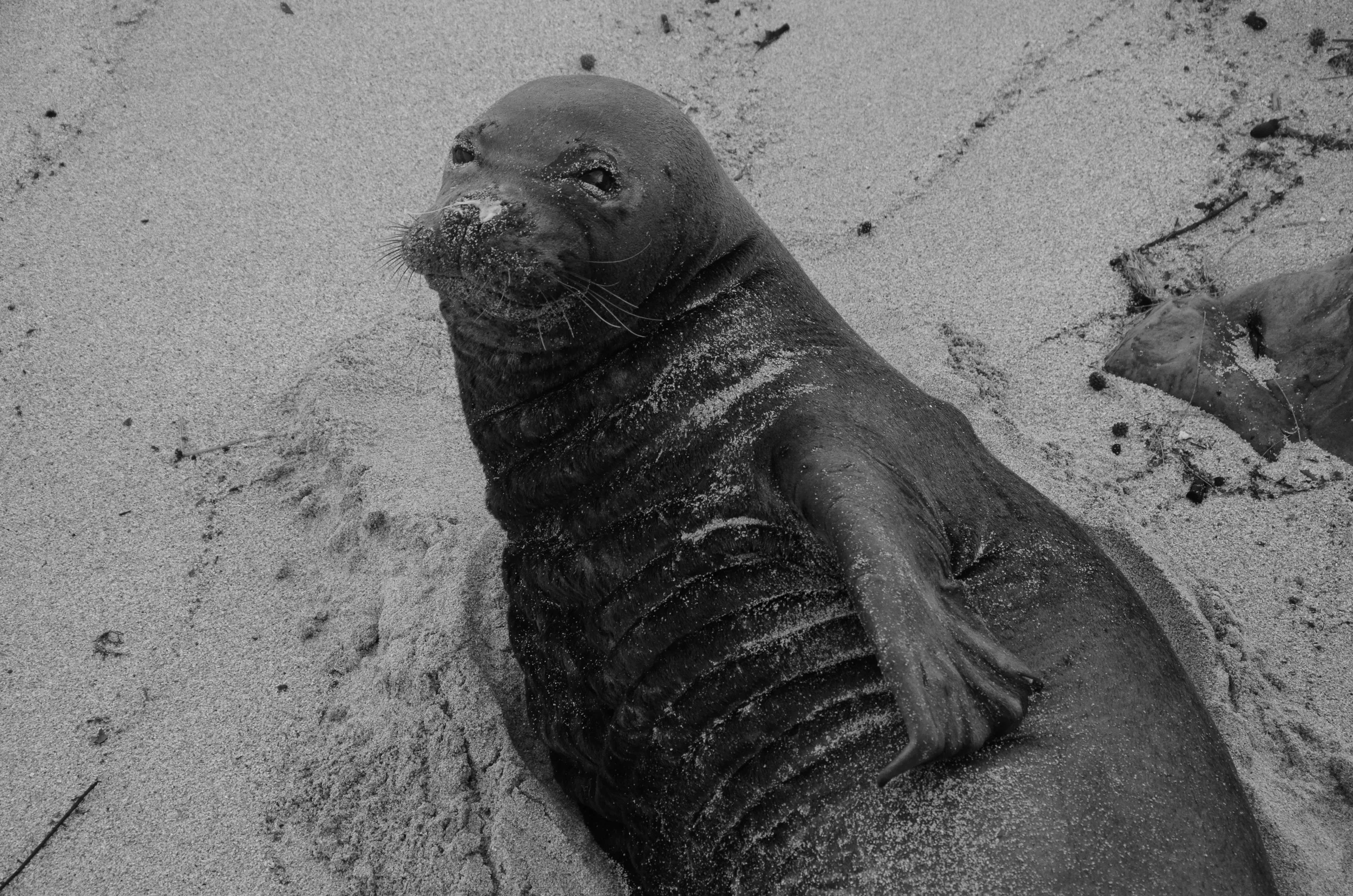  Camp Mokule'ia | Northshore, O'ahu, Hawai'i | 2015. 