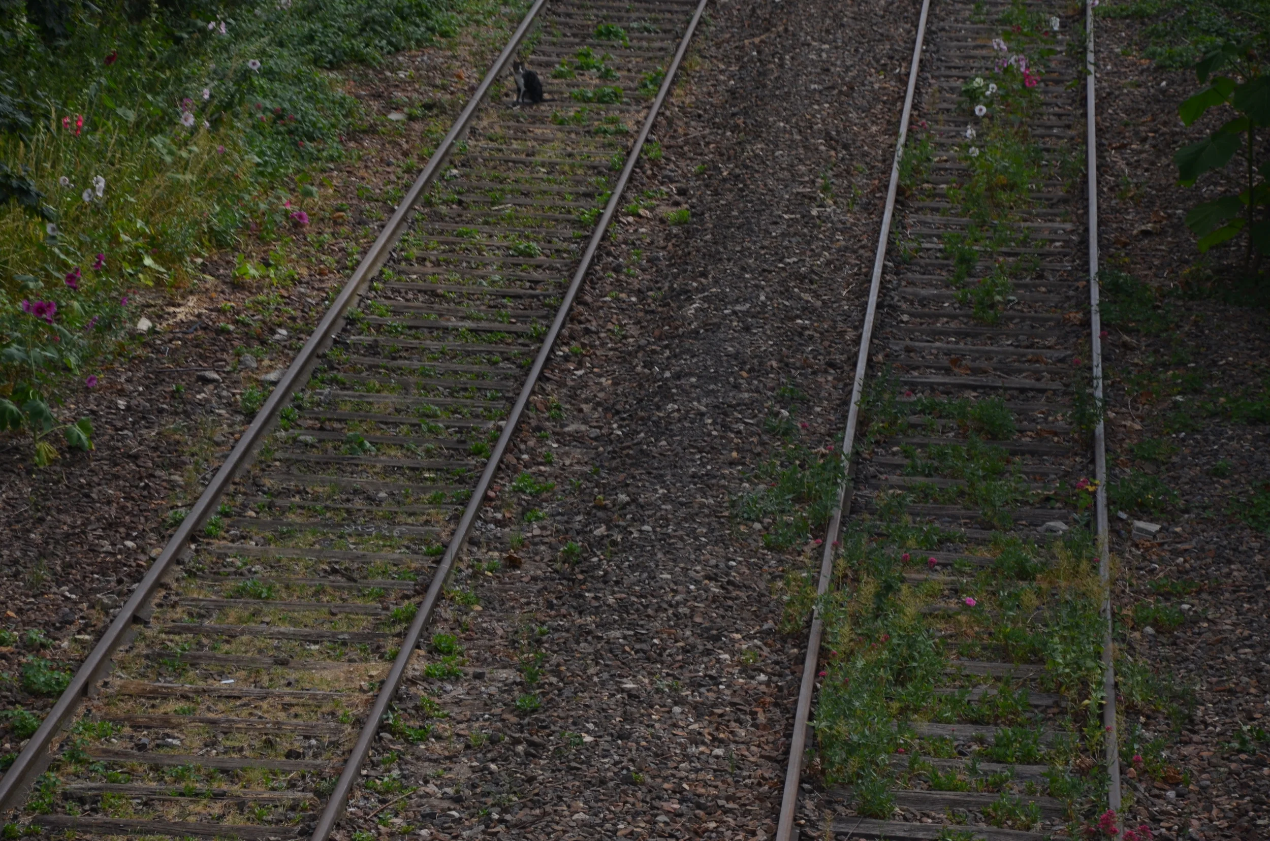  Paris, France | 2015.&nbsp; 