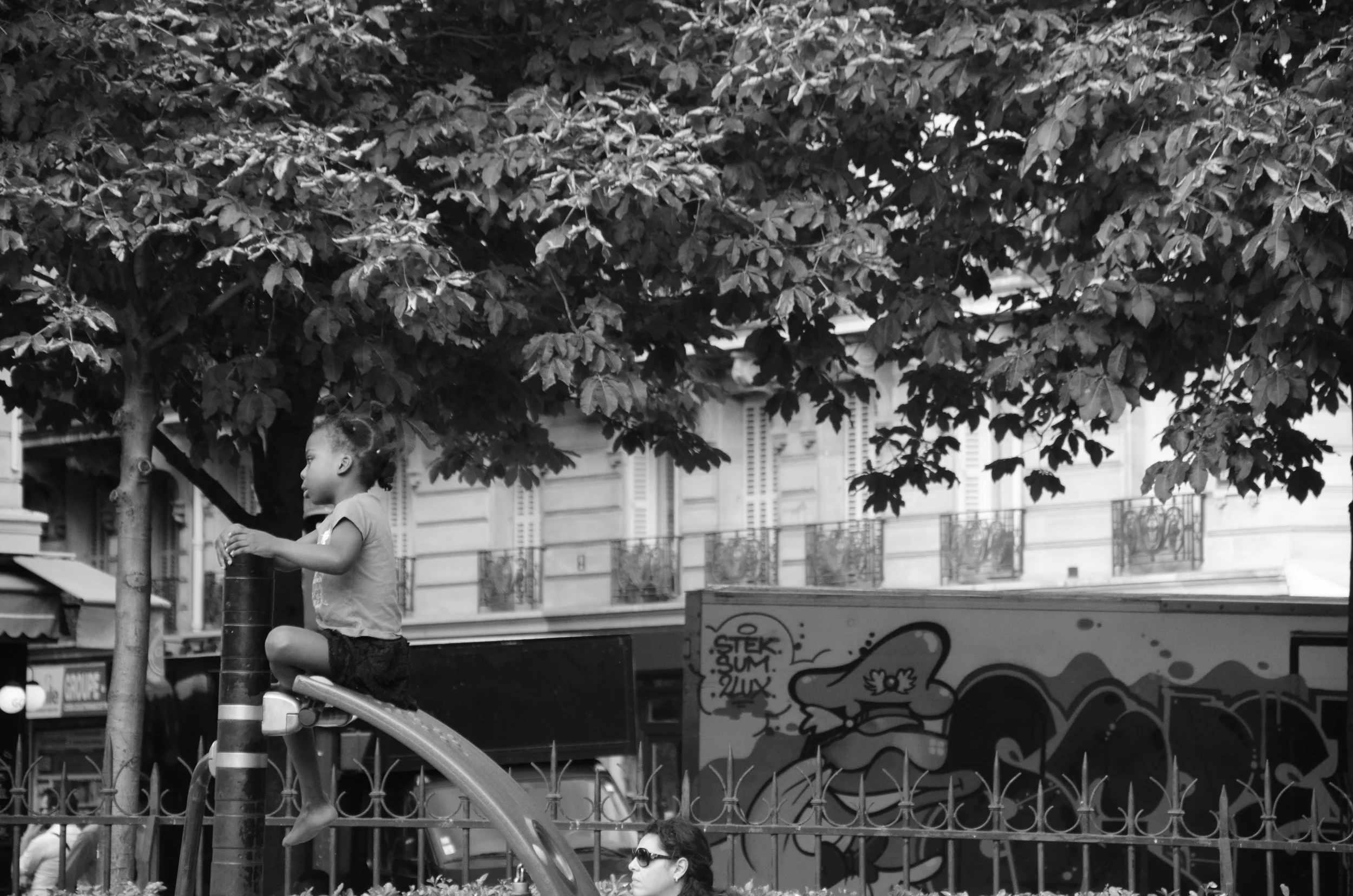 Queen of the Jungle [Gym]