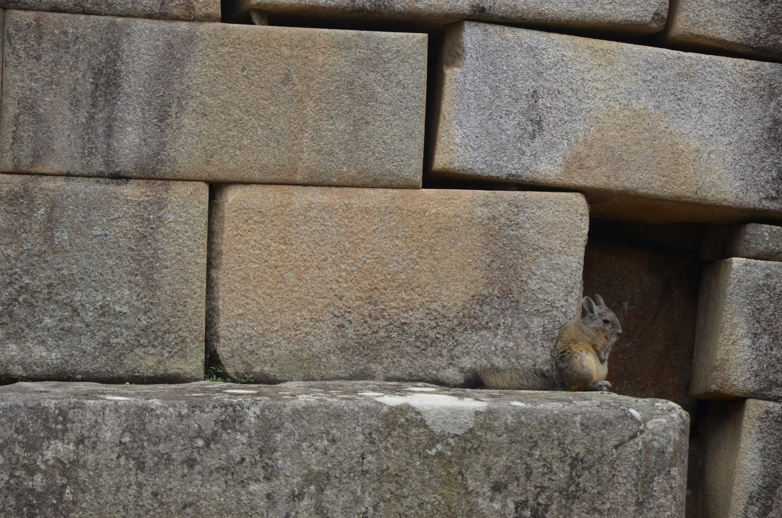  Machu Picchu, Peru | 2014. 