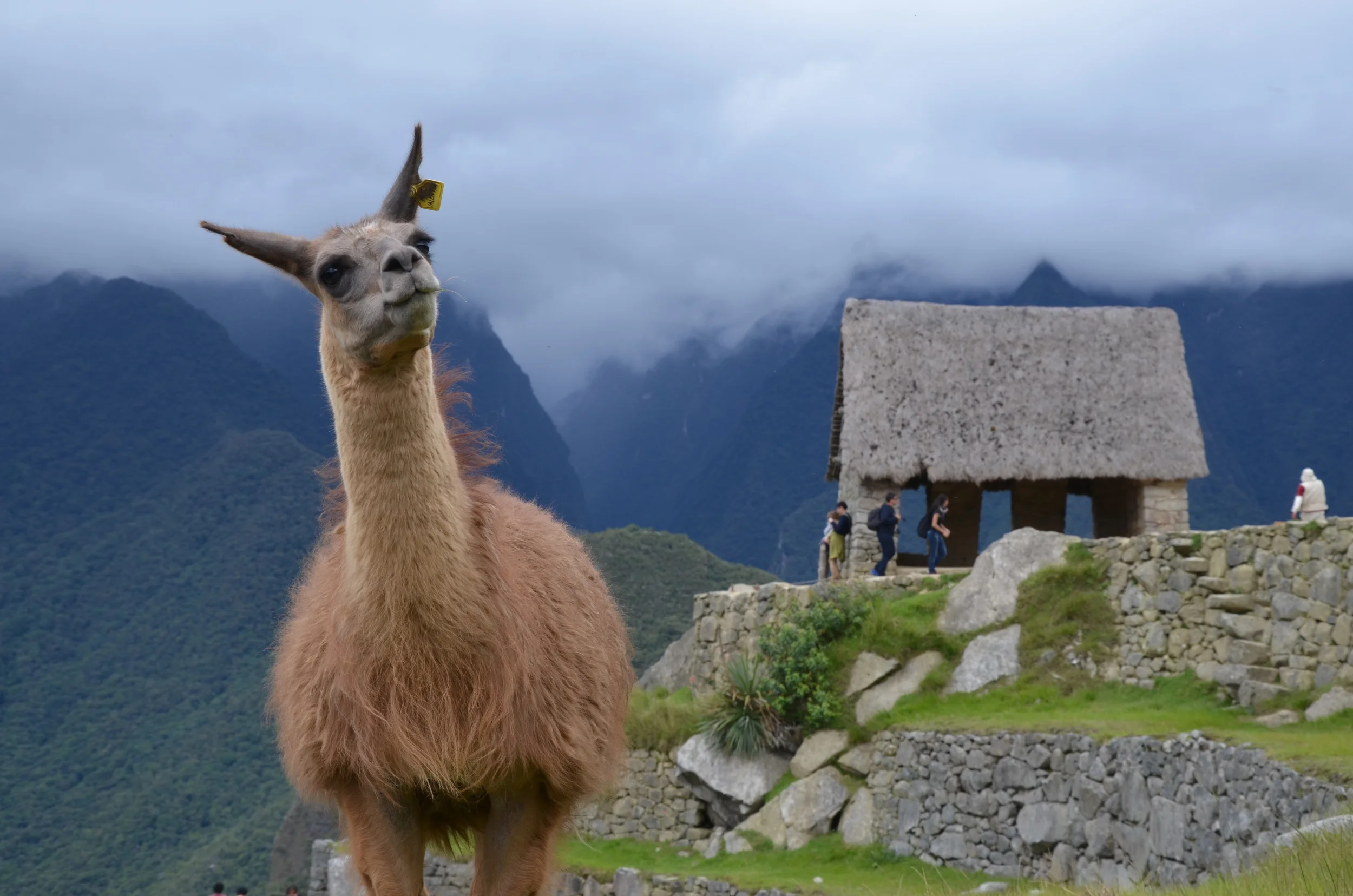  Machu Picchu, Peru | 2014. 