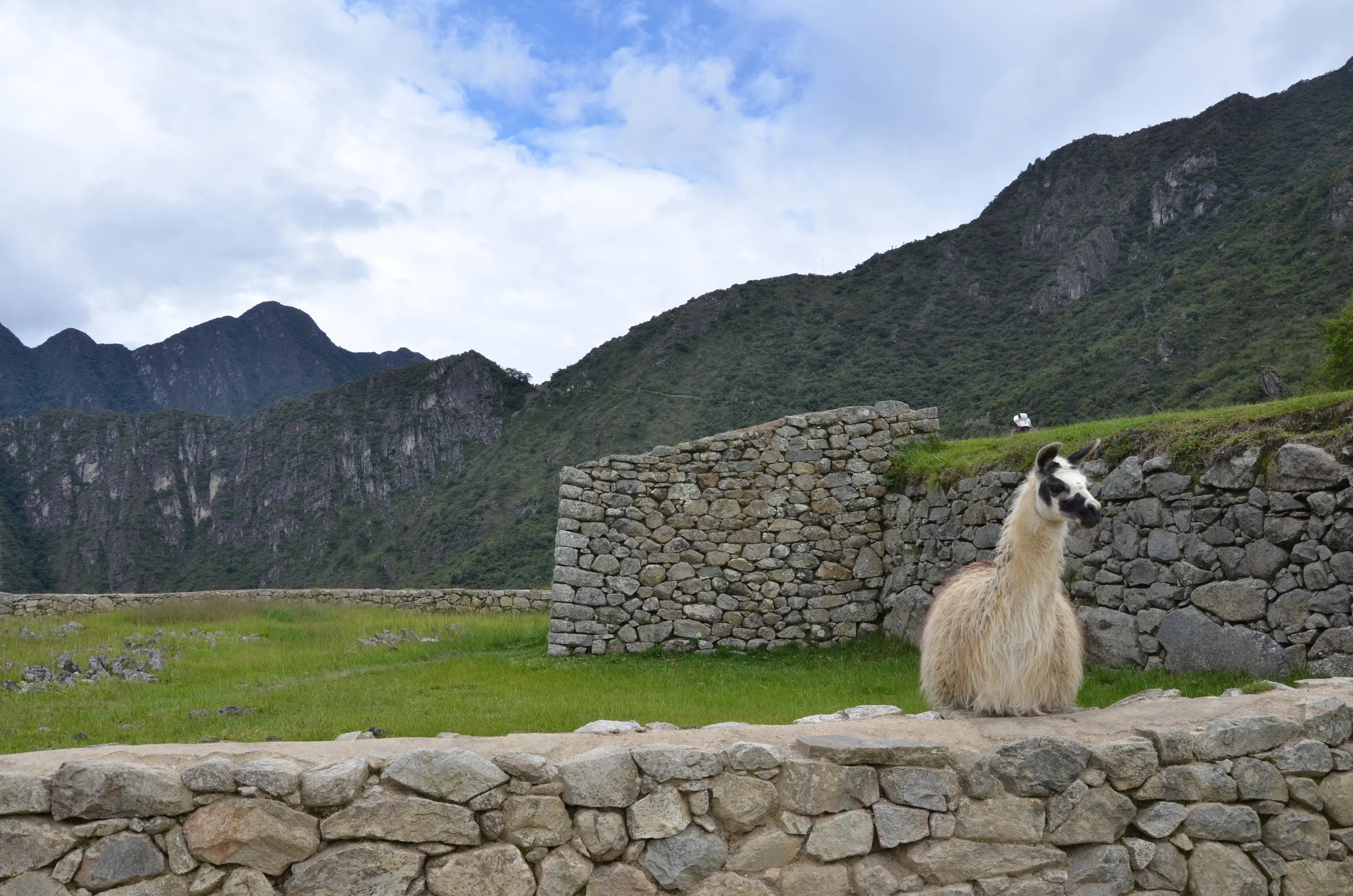  Machu Picchu, Peru | 2014. 