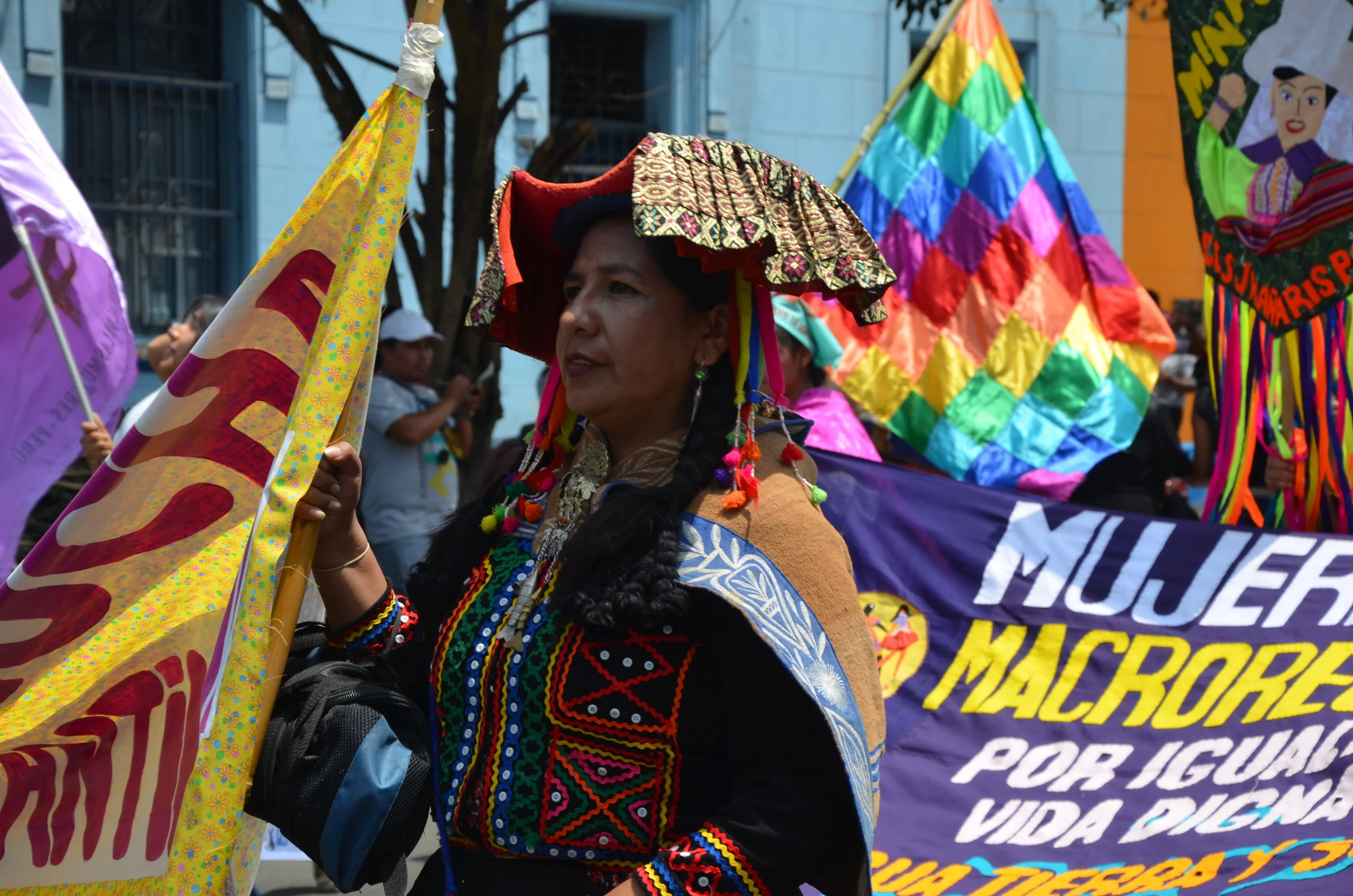  Cumbre de los Pueblos | Lima, Peru | 2014. 