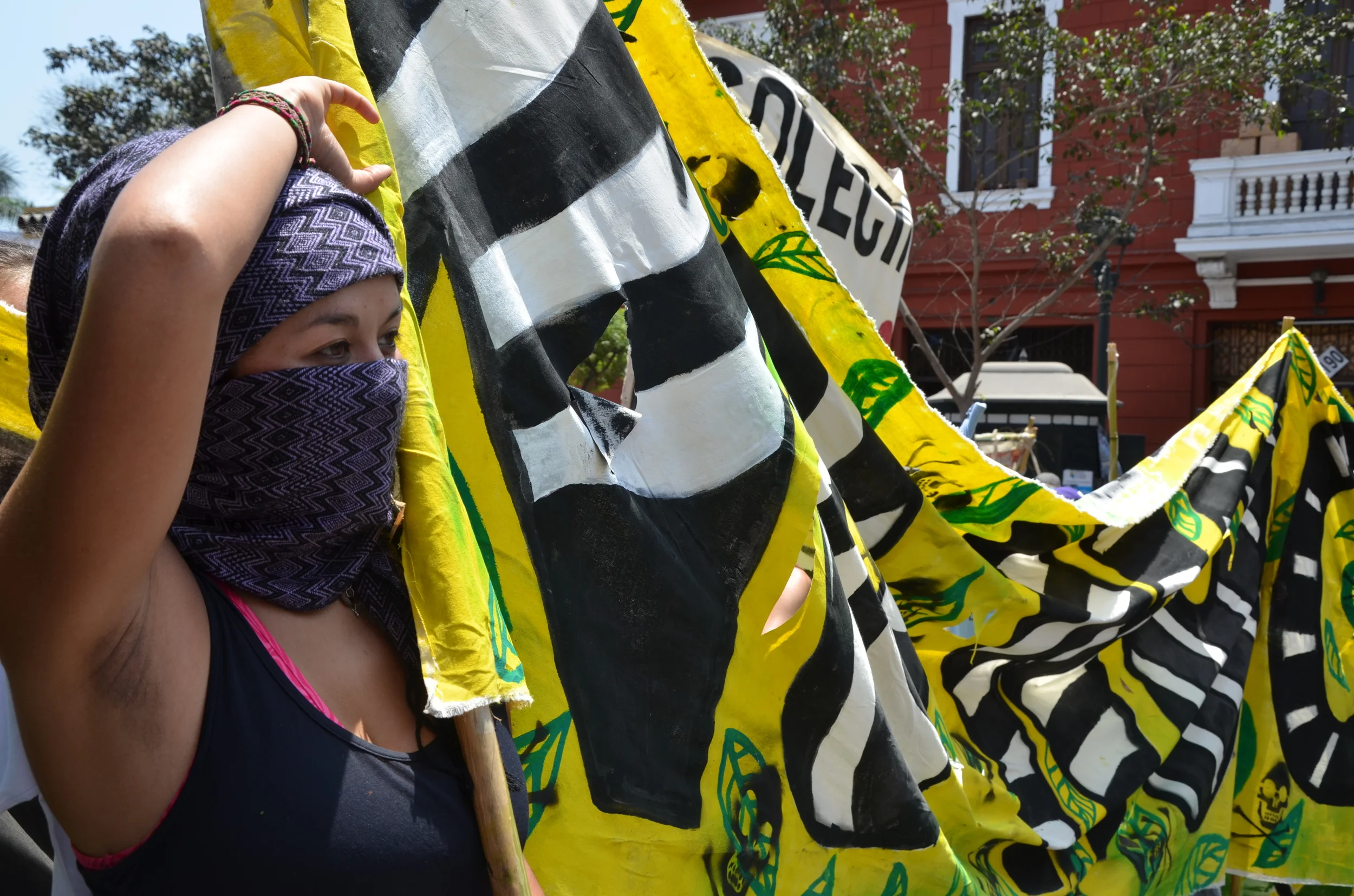  Cumbre de los Pueblos | Lima, Peru | 2014. 