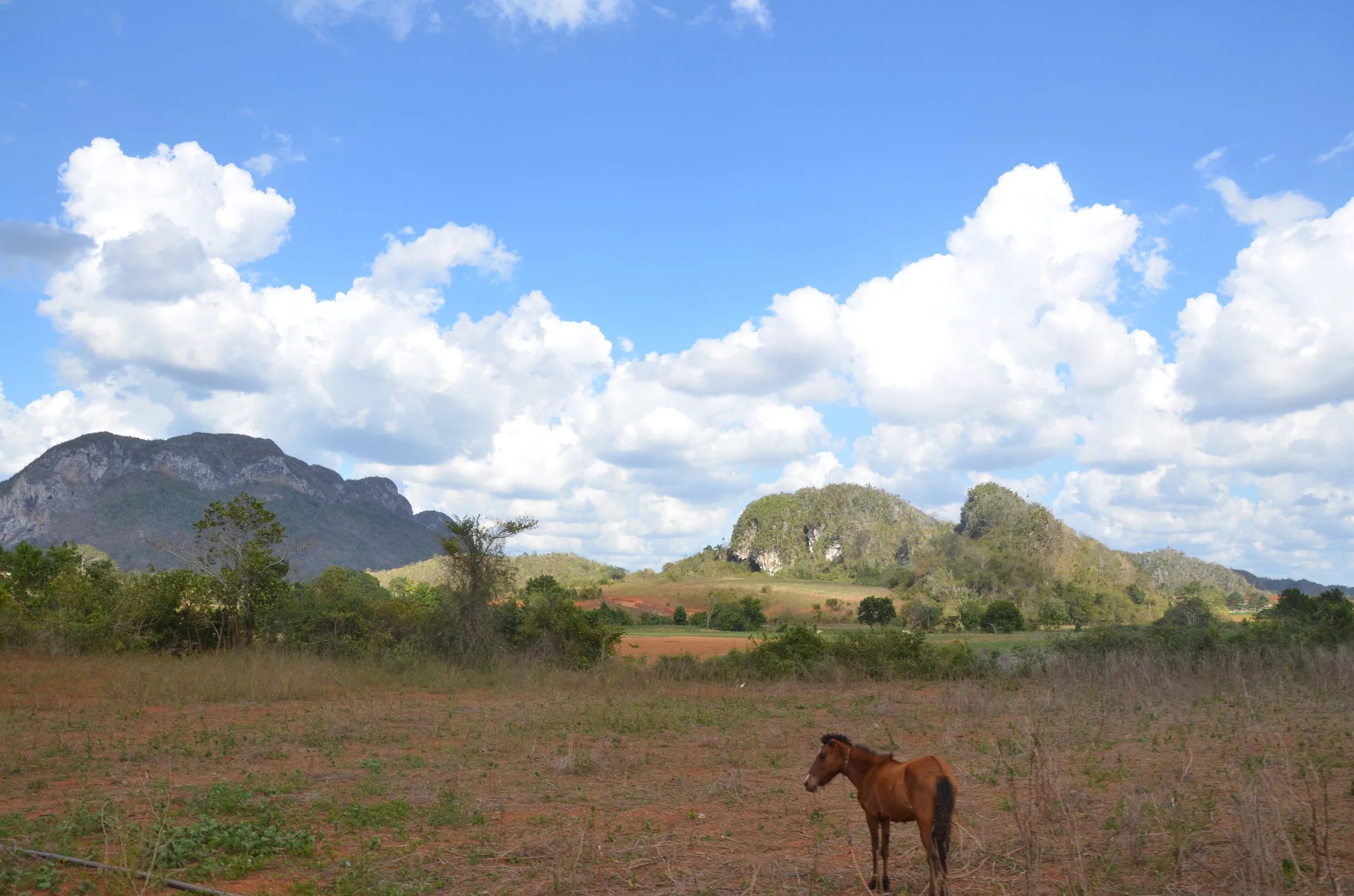 Viñales, Cuba | 2017 