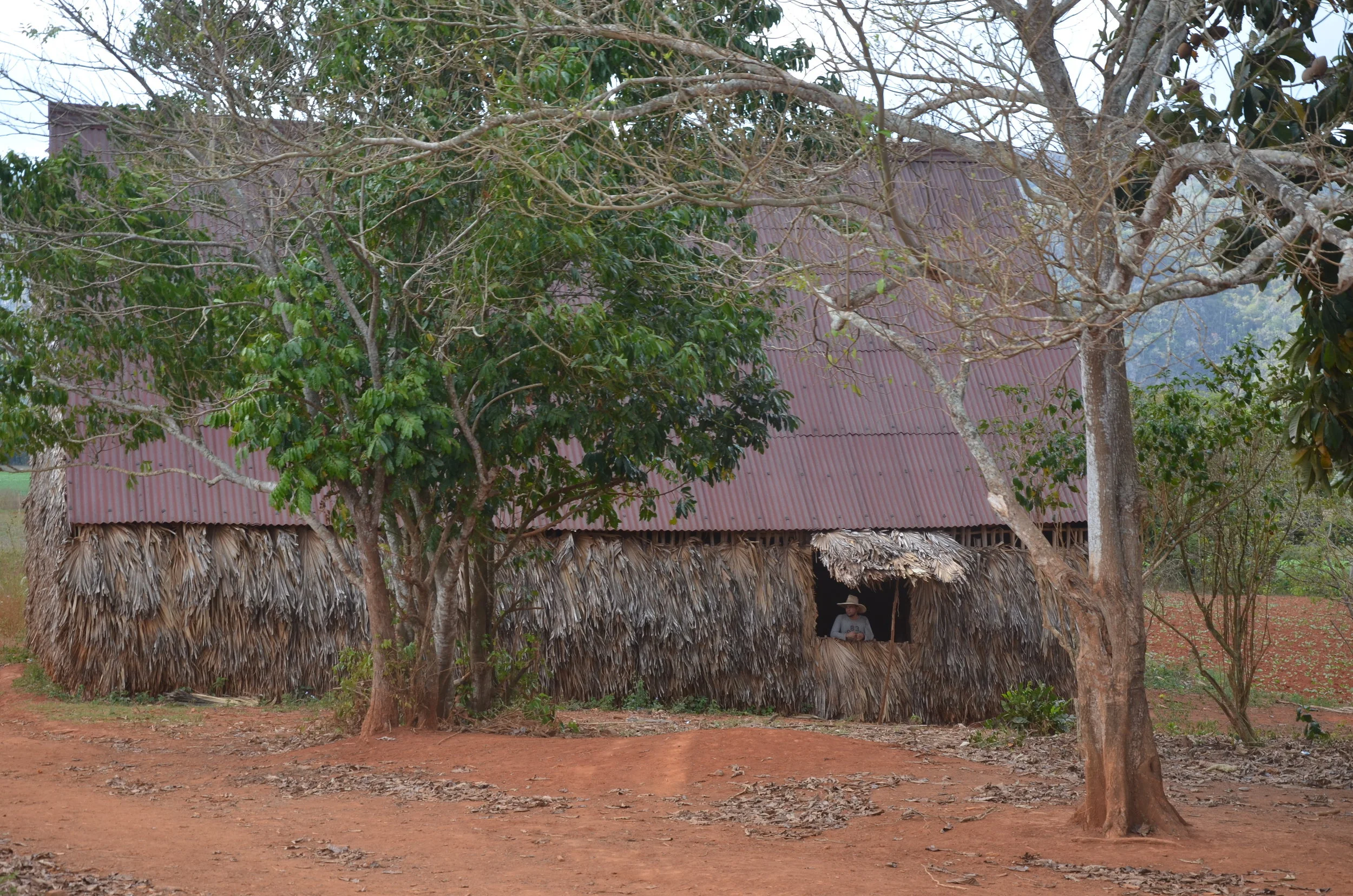  Viñales, Cuba | 2017 