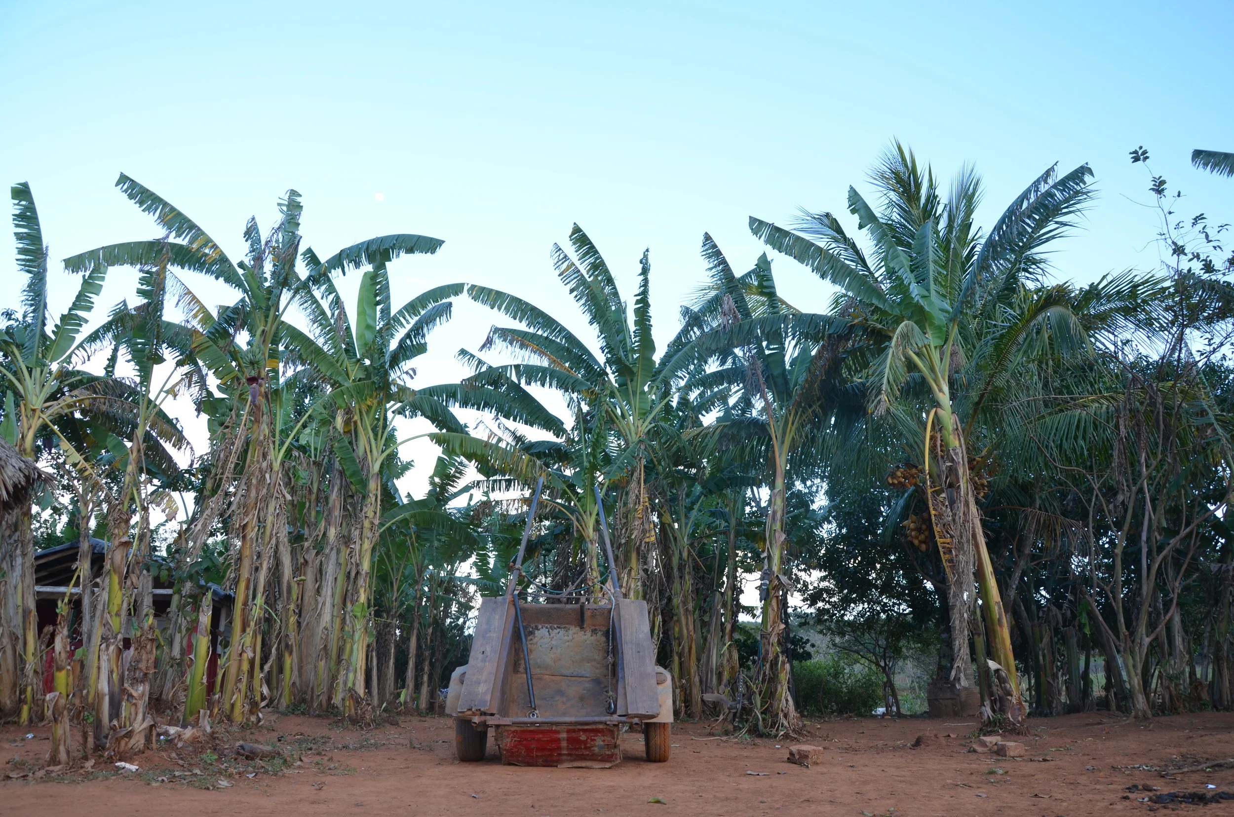 Viñales, Cuba | 2017 
