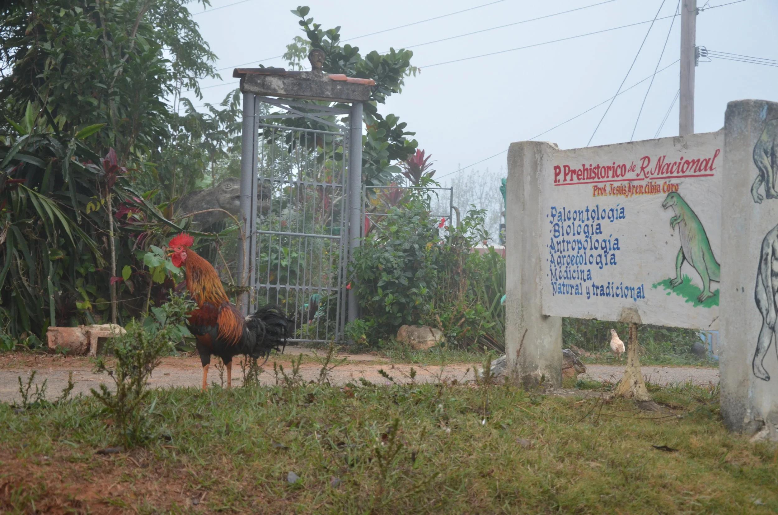  Viñales, Cuba | 2017 